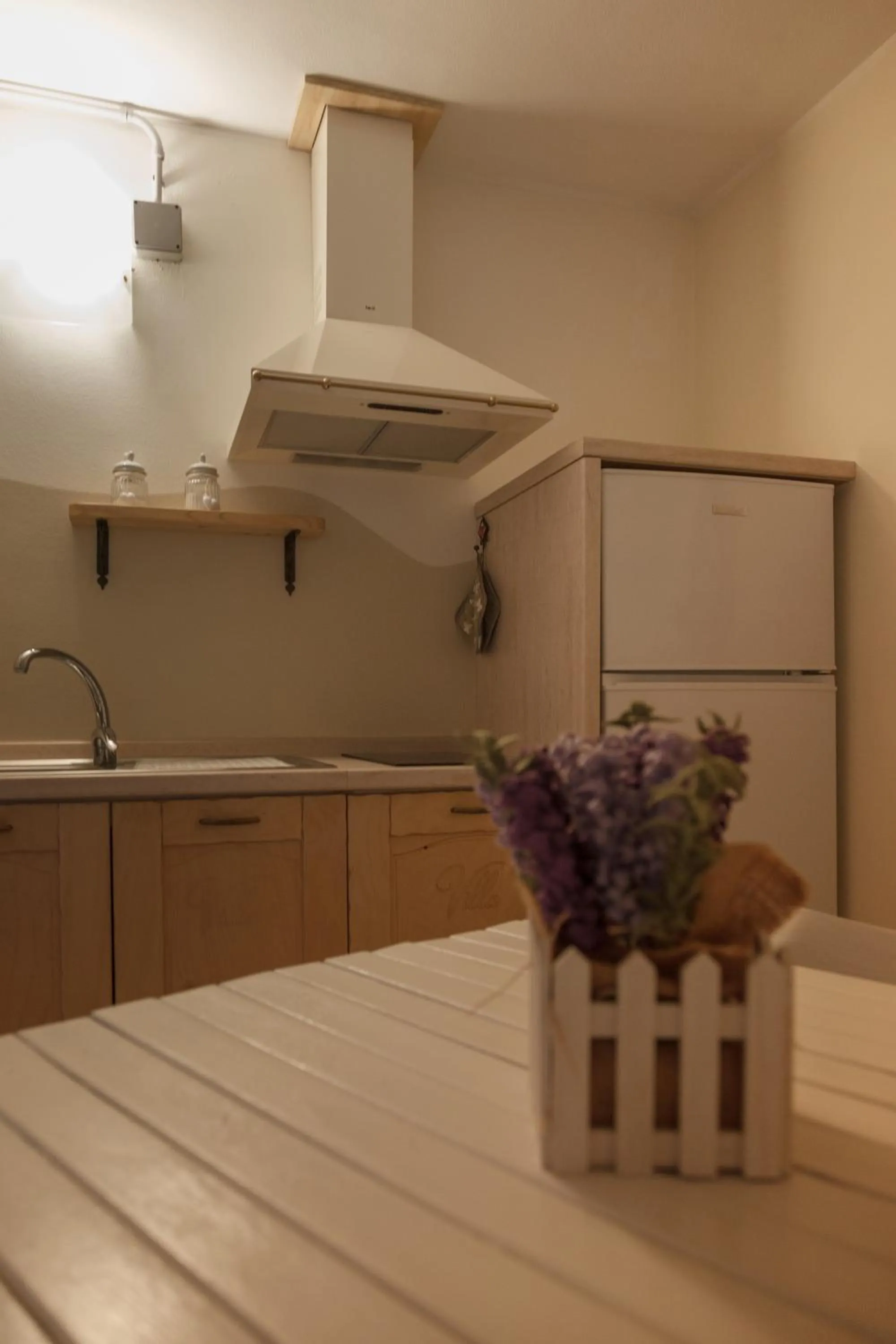 Kitchen or kitchenette in Villa Lina Bed&Breakfast