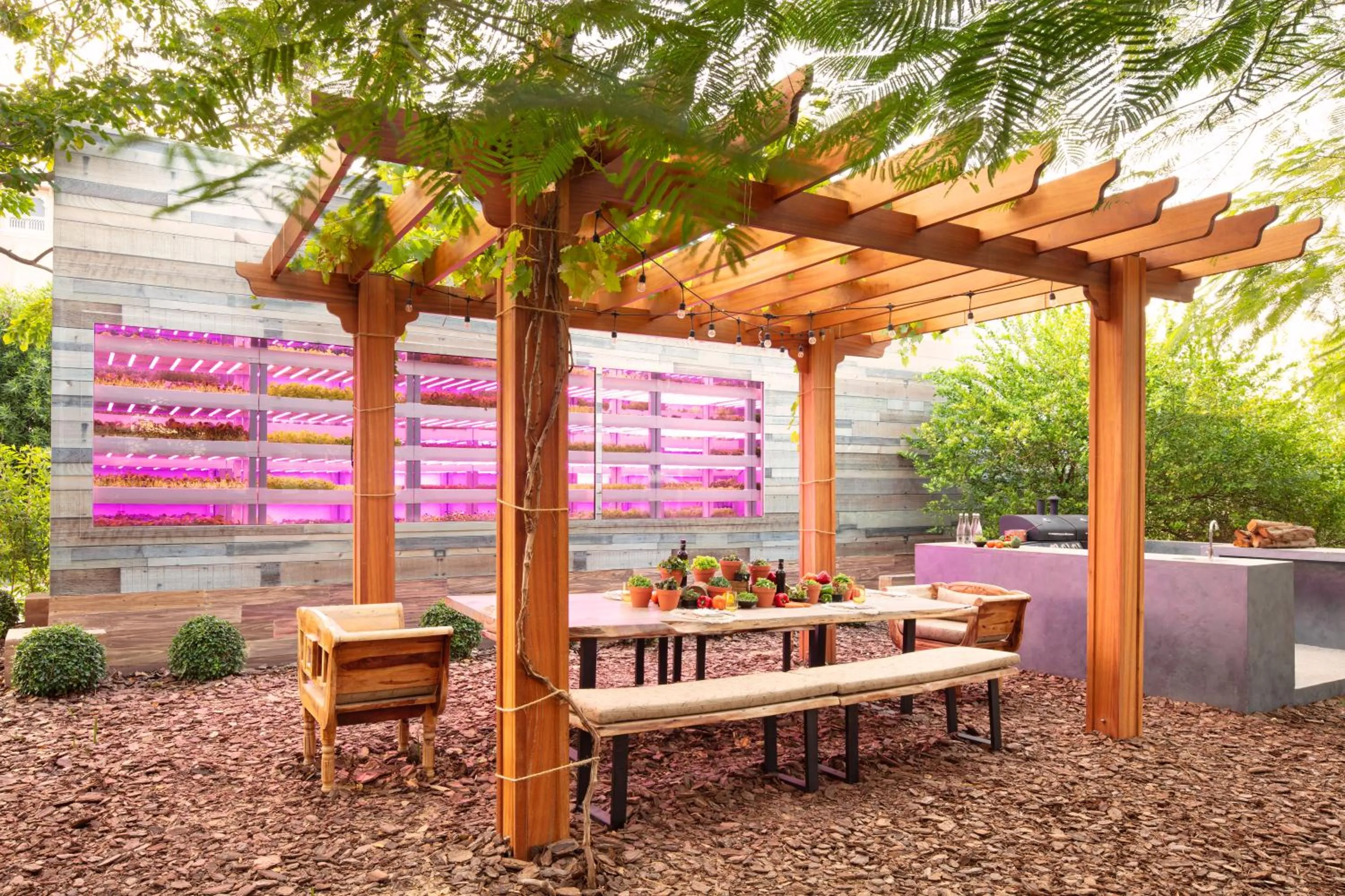 Restaurant/places to eat in Jumeirah Zabeel Saray Dubai