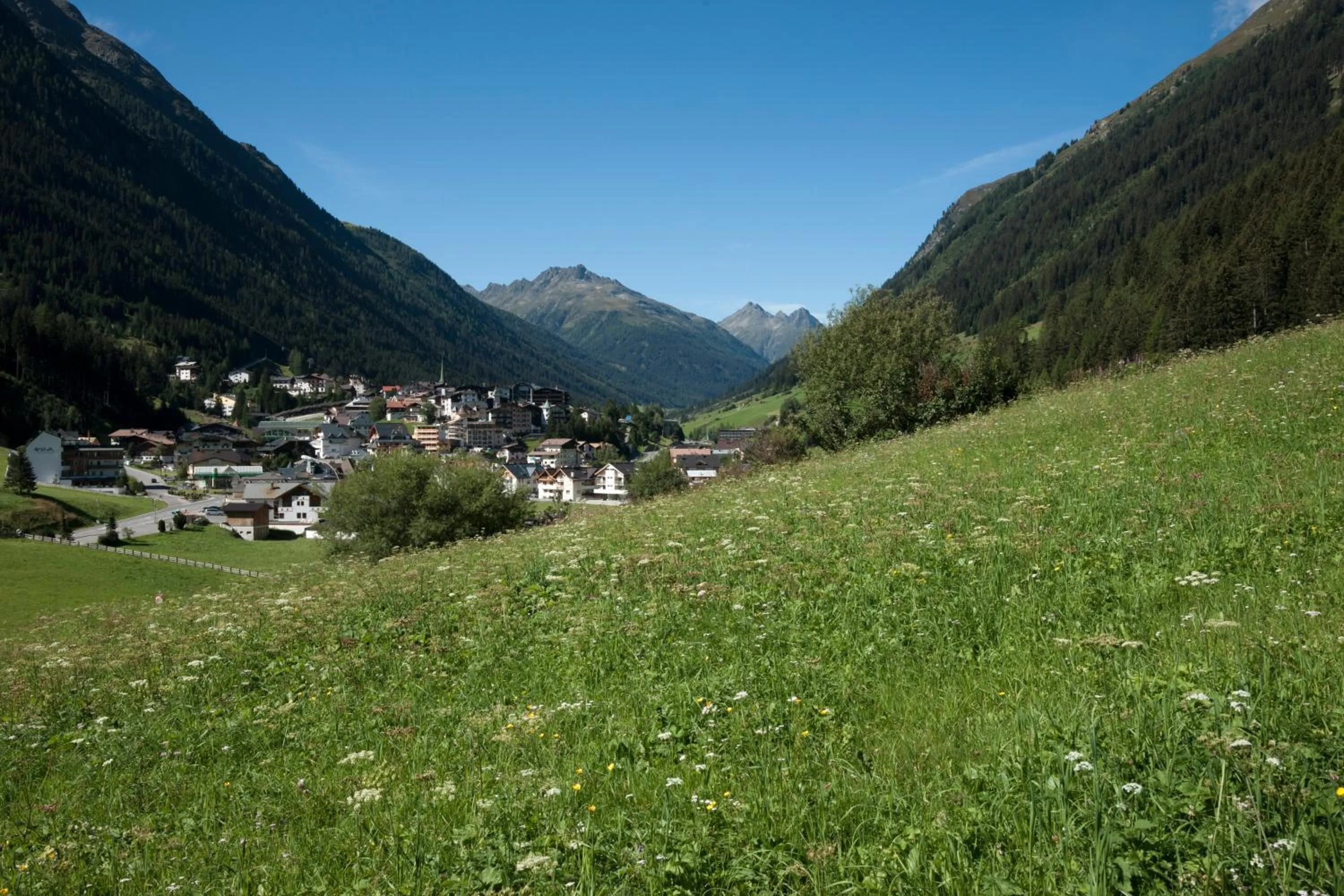 Other in Alphotel Garni Salner