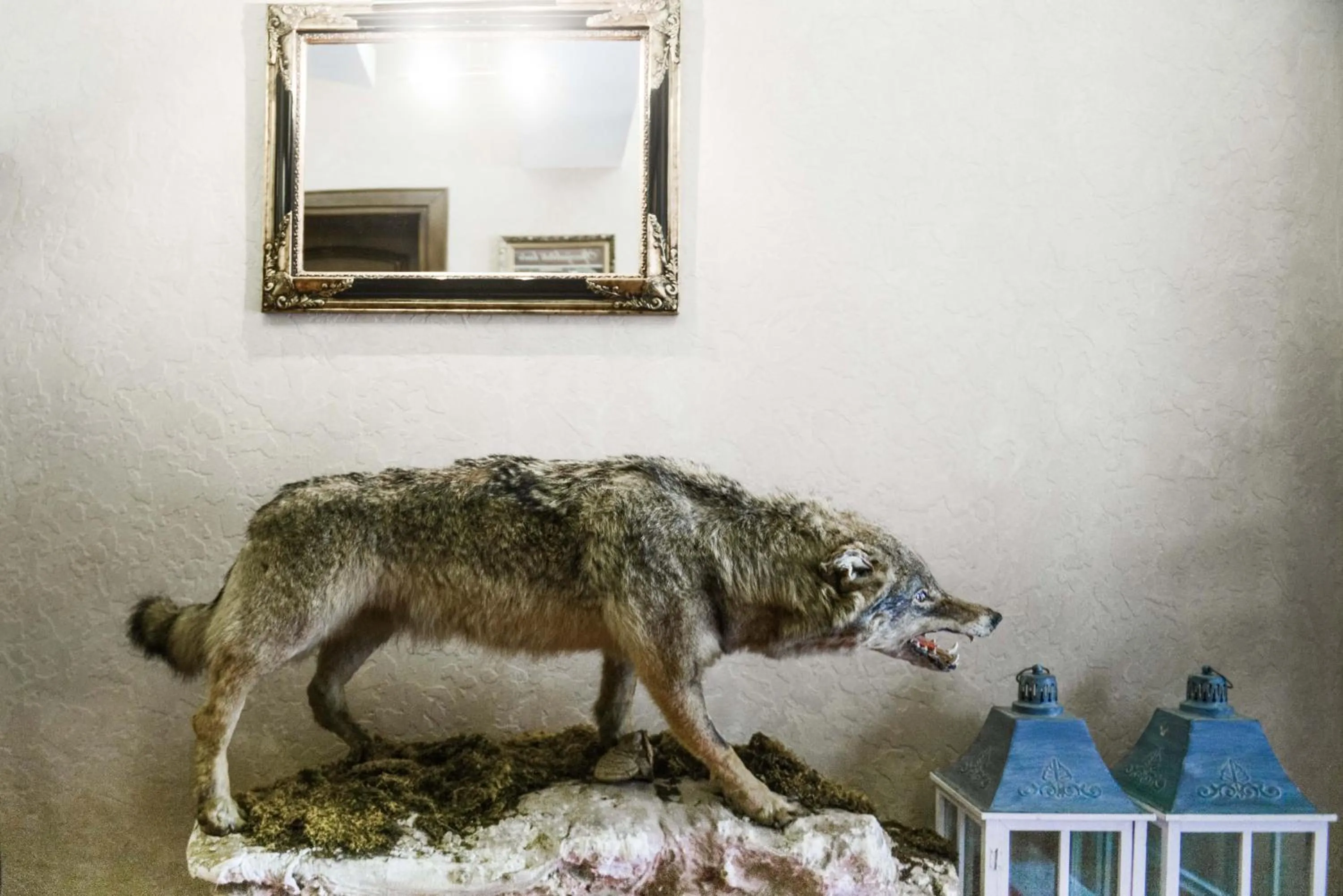 Facade/entrance in Hotel Pahuljica