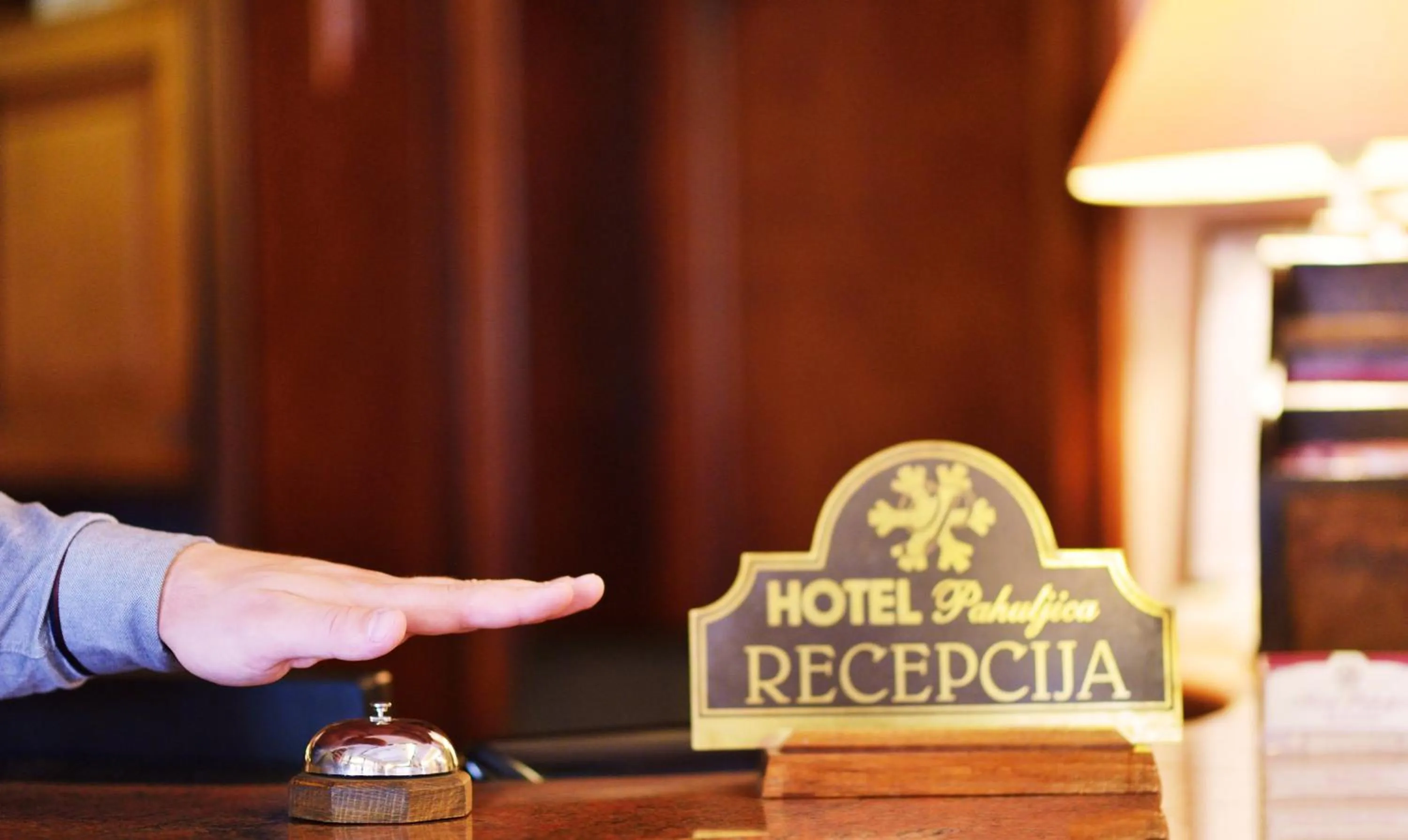 Property logo or sign in Hotel Pahuljica