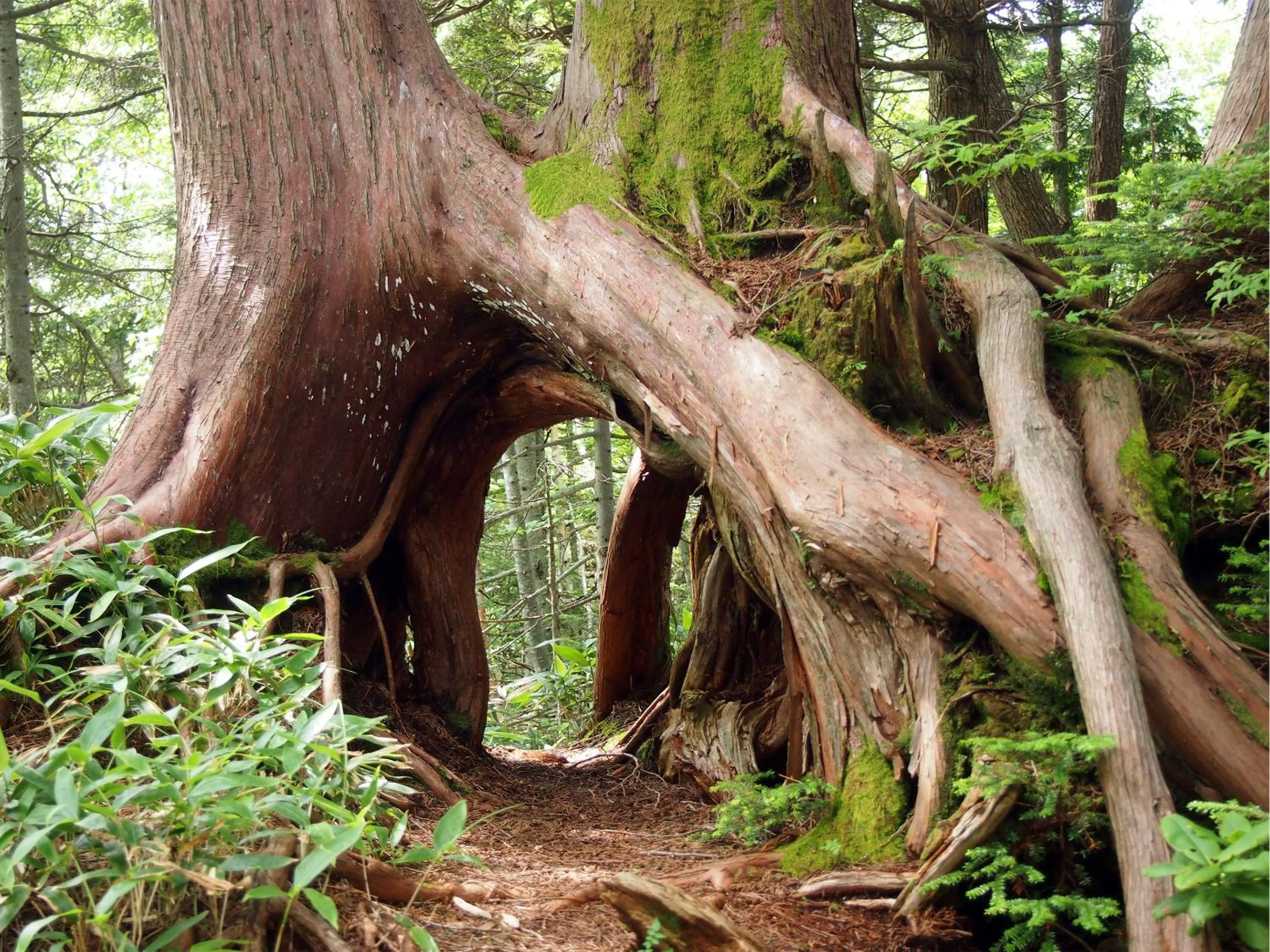 Off site in Hotel Ichinose