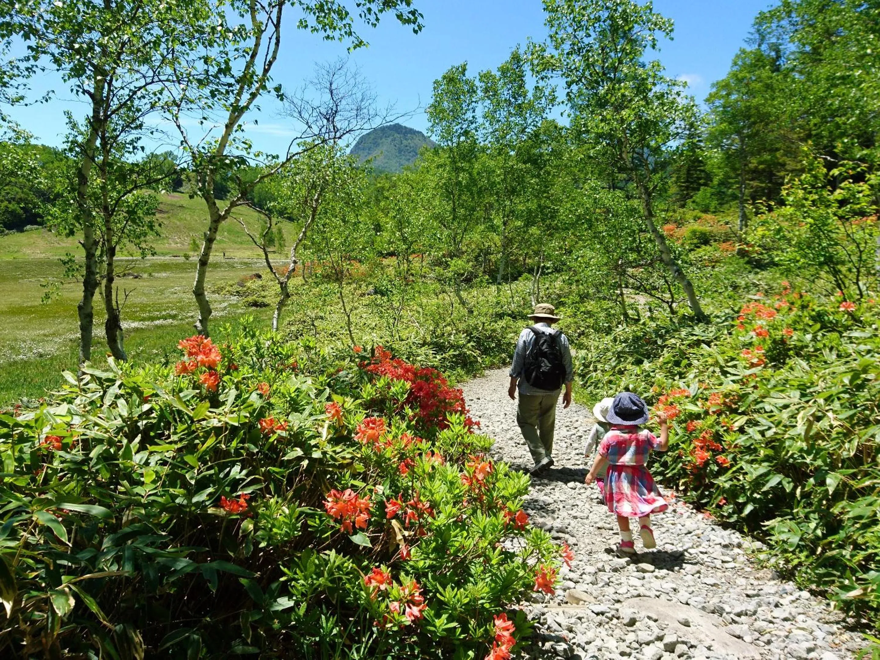 Off site in Hotel Ichinose