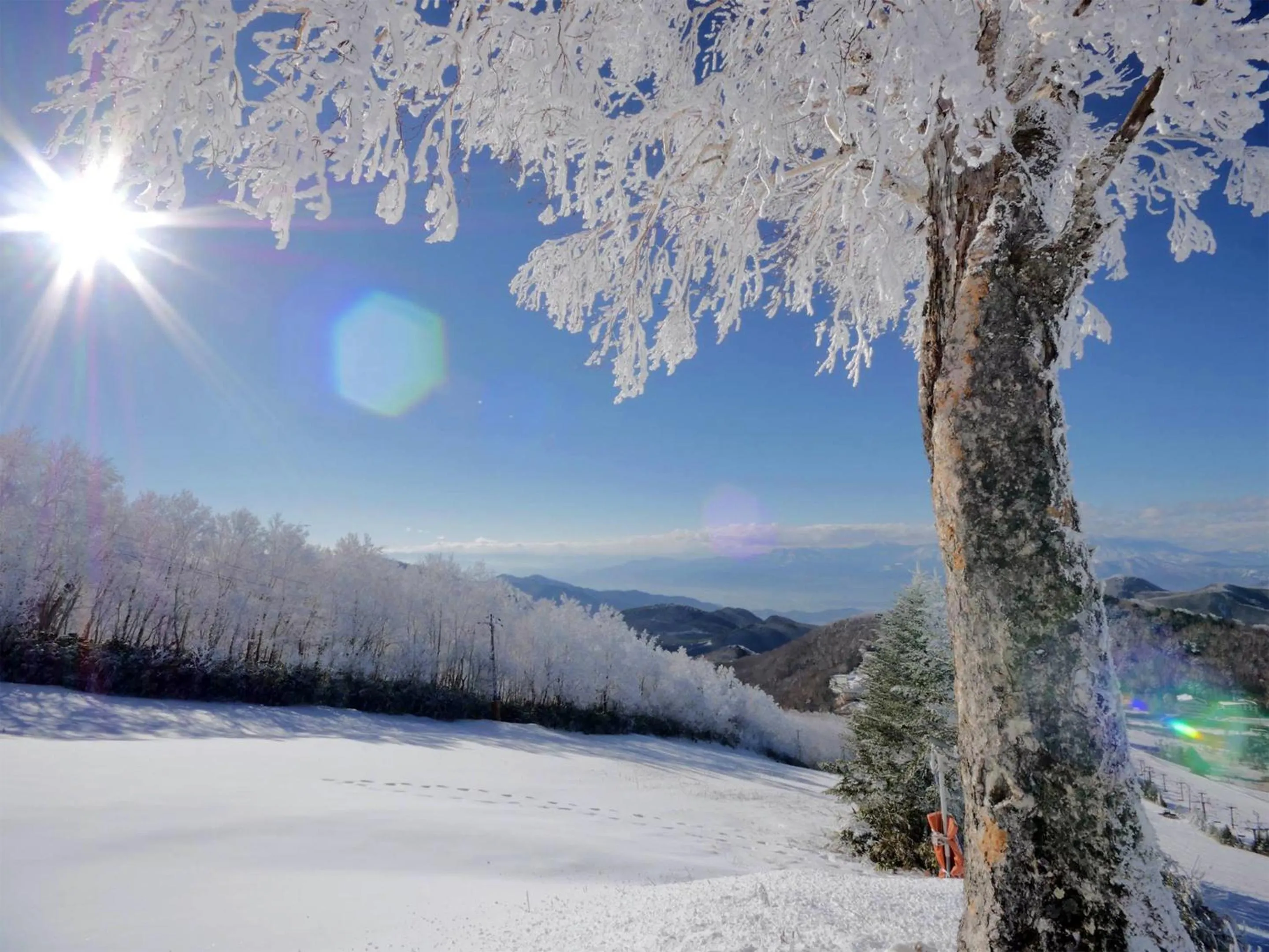 Off site in Hotel Ichinose