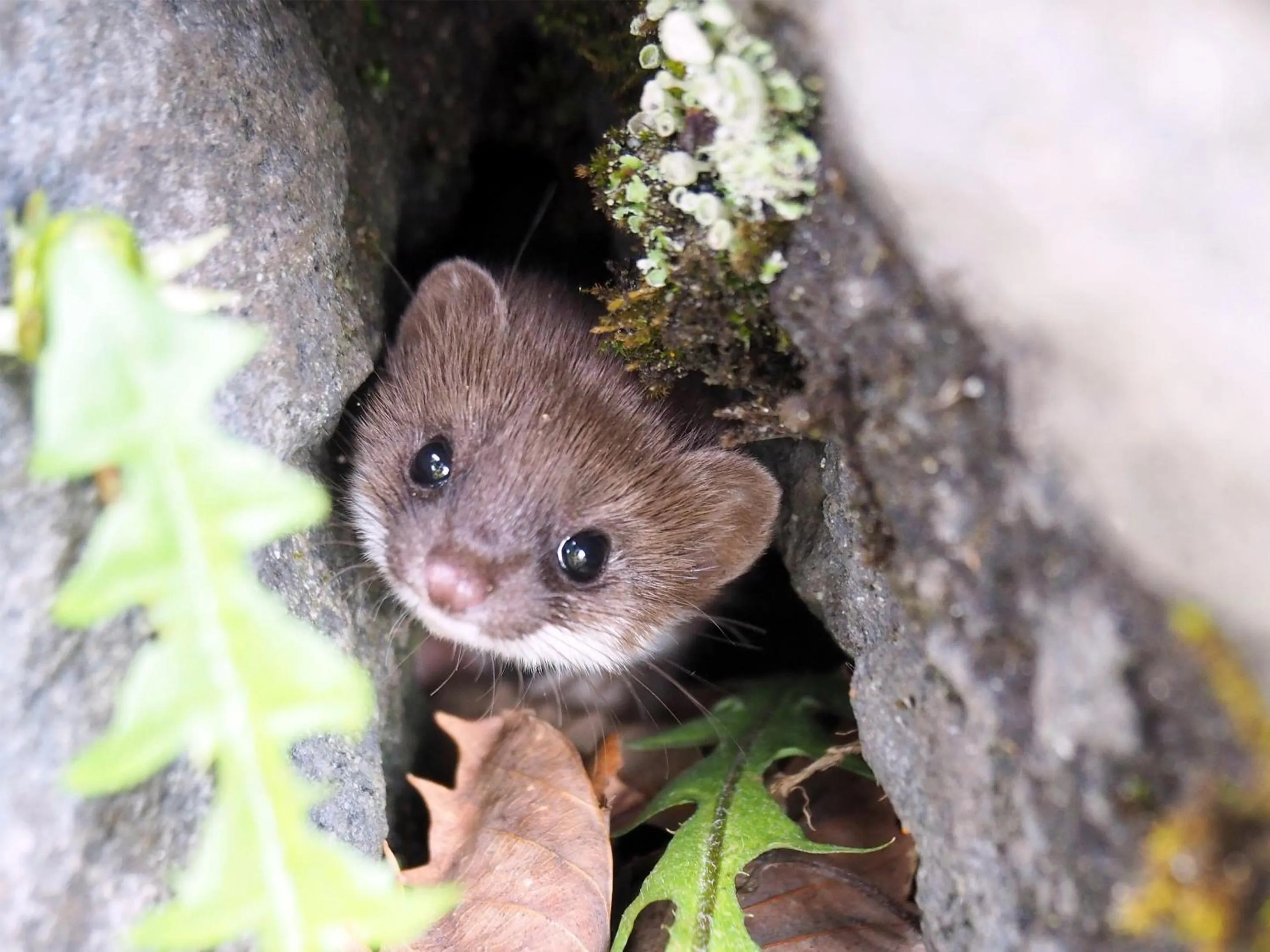 Off site in Hotel Ichinose