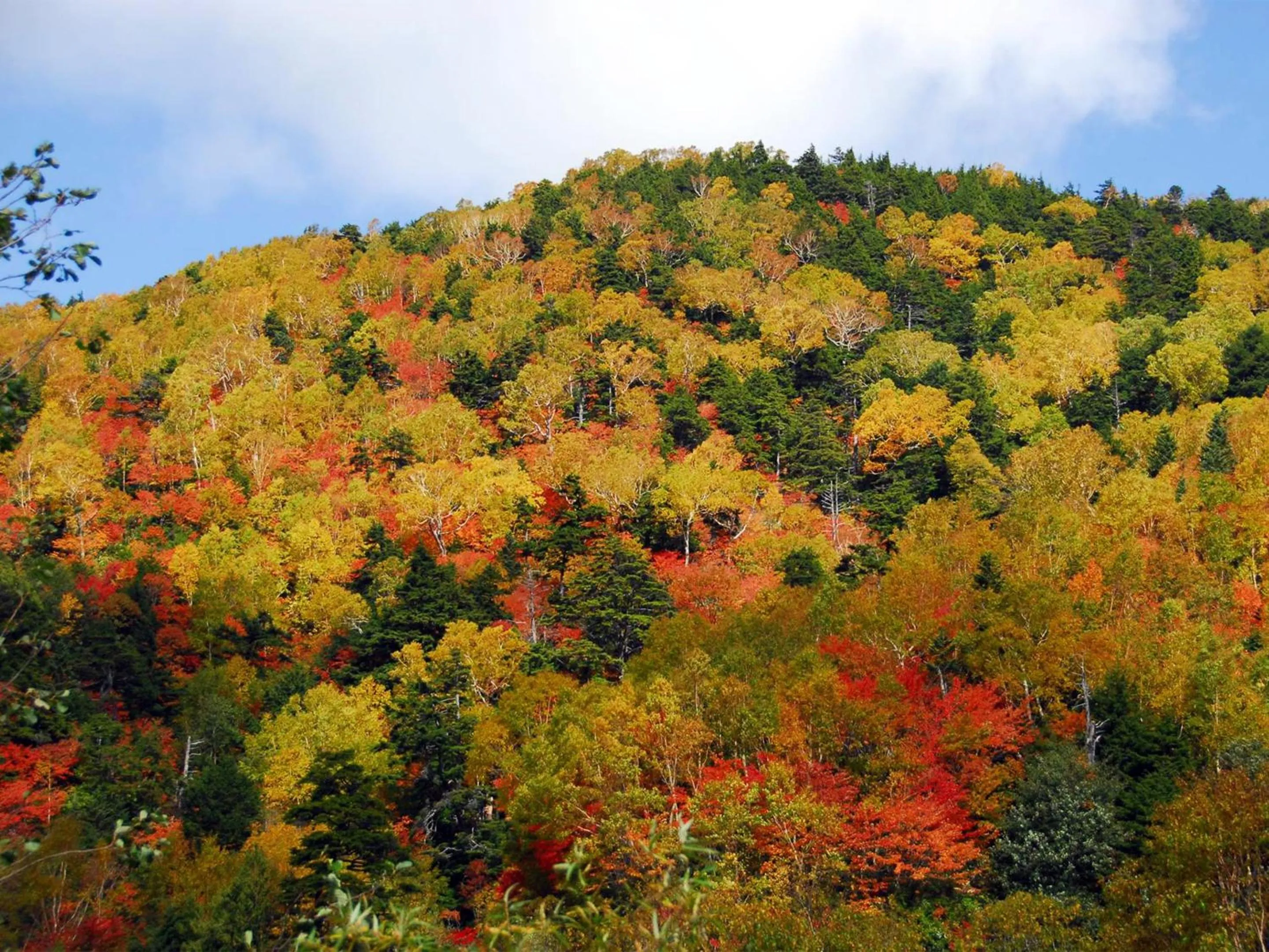 Off site in Hotel Ichinose