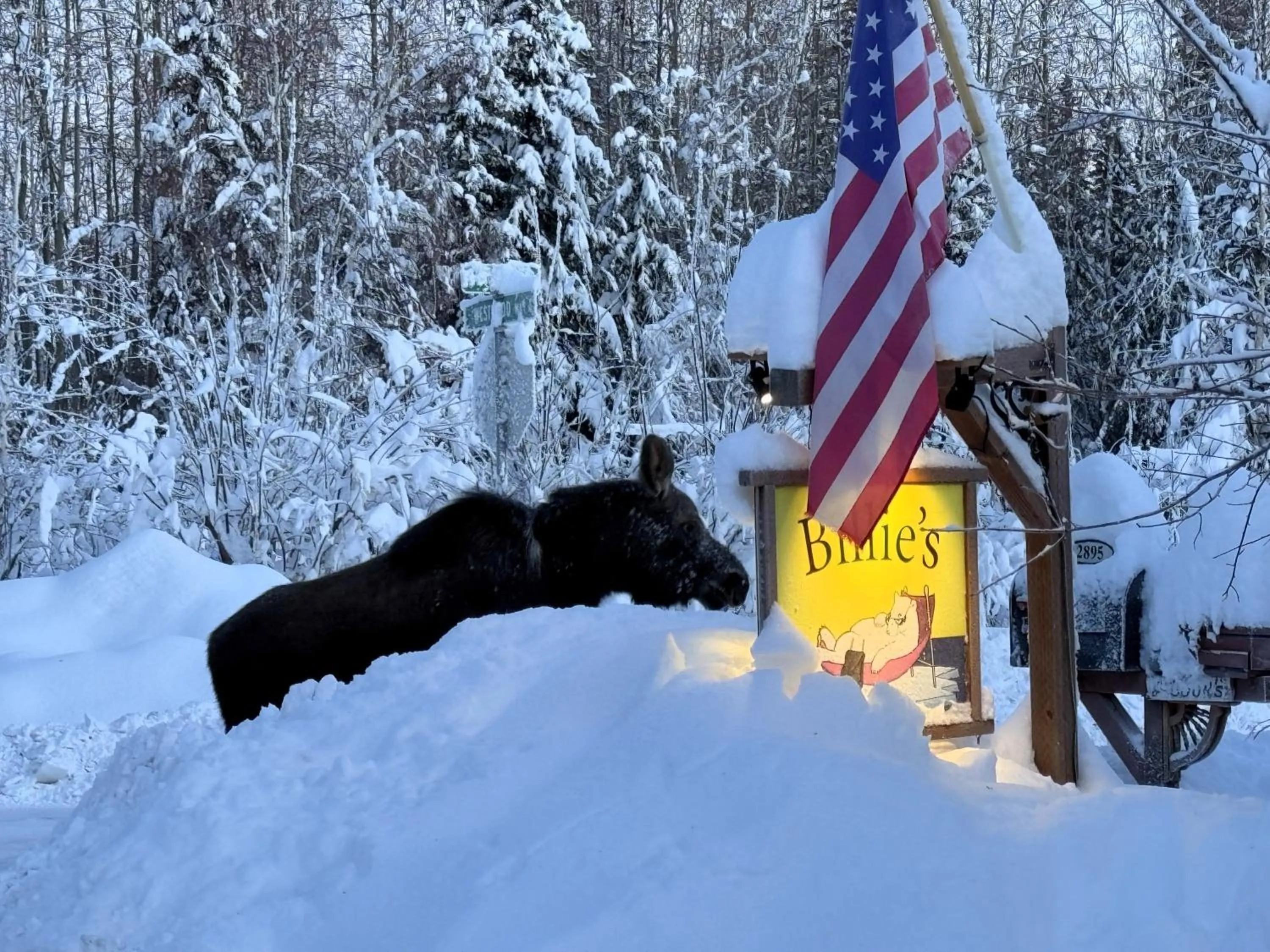 Property building in Billie's Backpackers Hostel