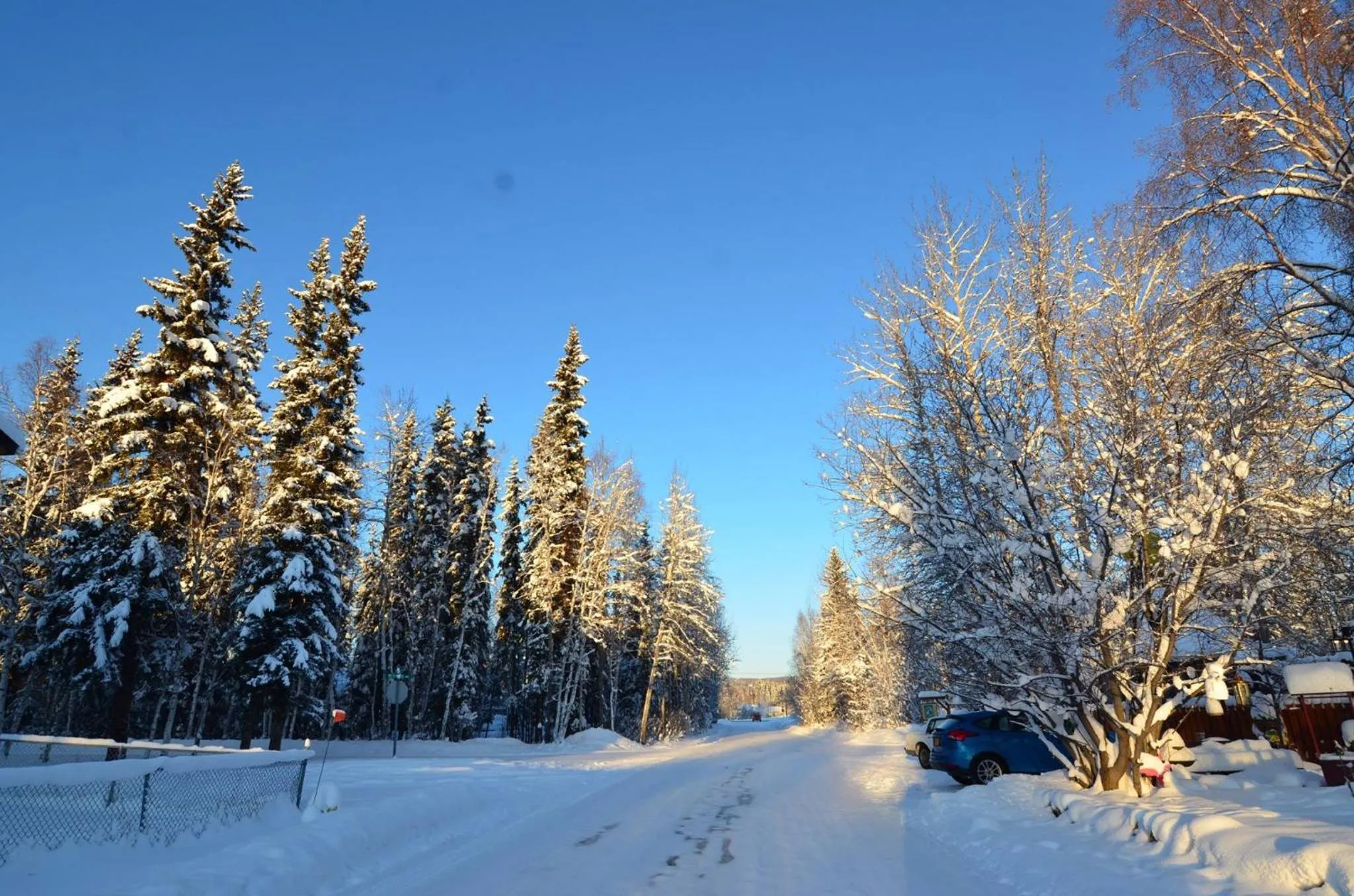 Day in Billie's Backpackers Hostel