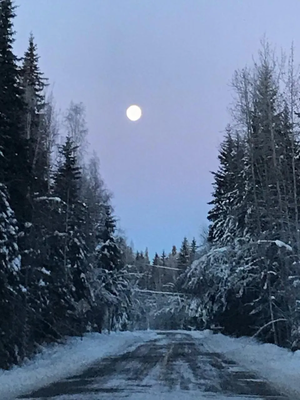 Natural landscape in Billie's Backpackers Hostel