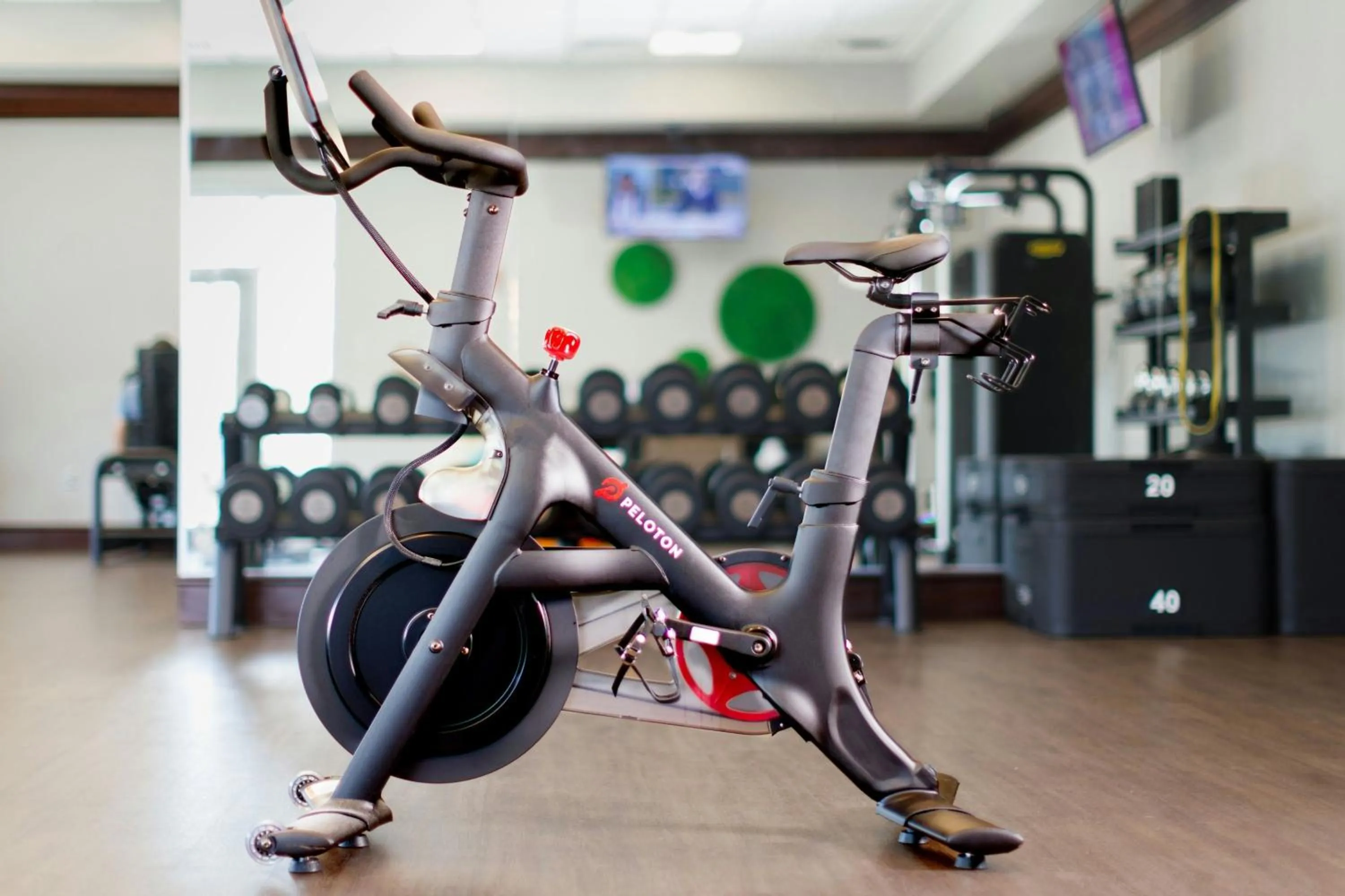 Fitness centre/facilities in Renaissance Birmingham Ross Bridge Golf Resort & Spa