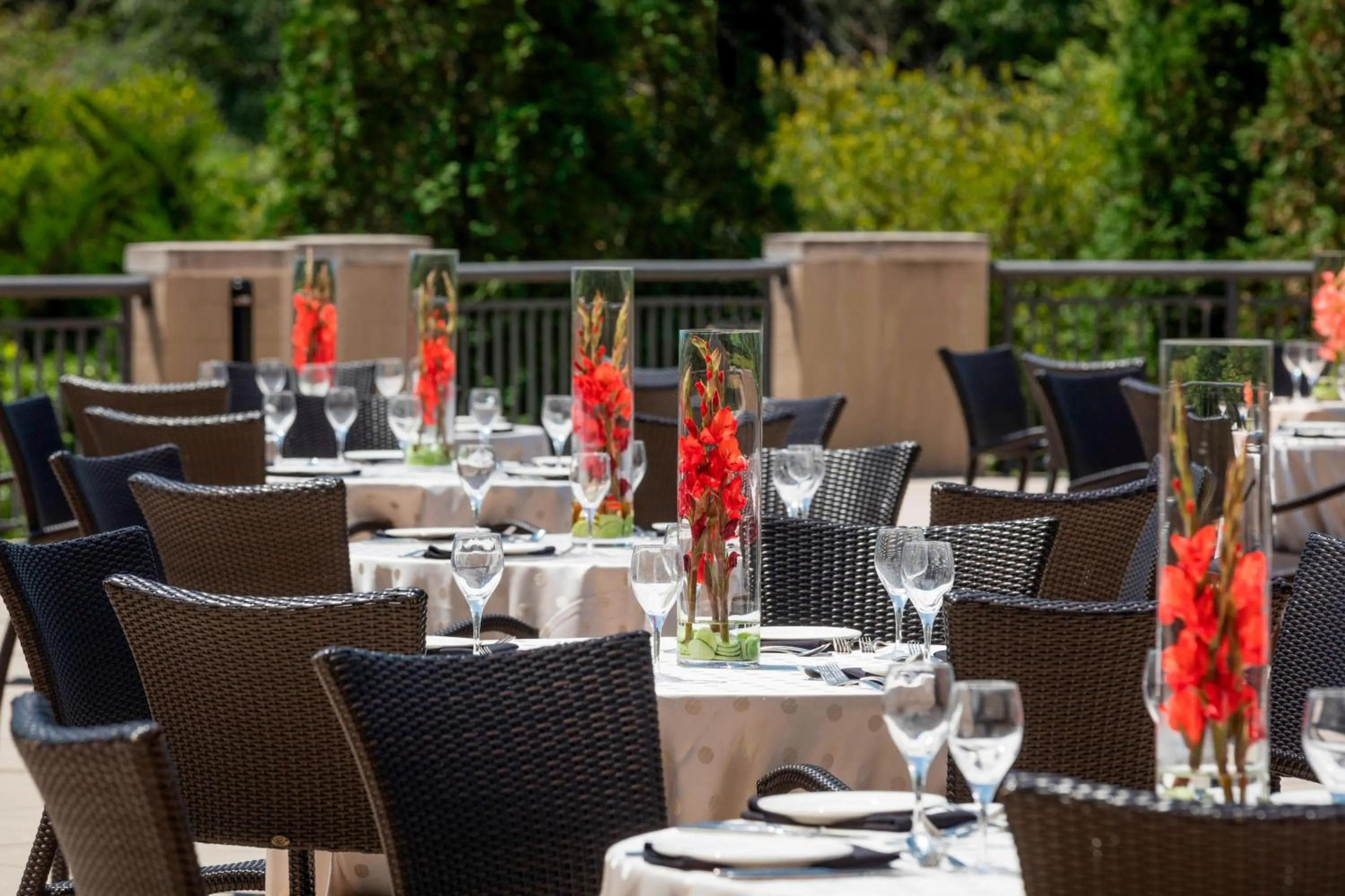 Meeting/conference room in Renaissance Birmingham Ross Bridge Golf Resort & Spa