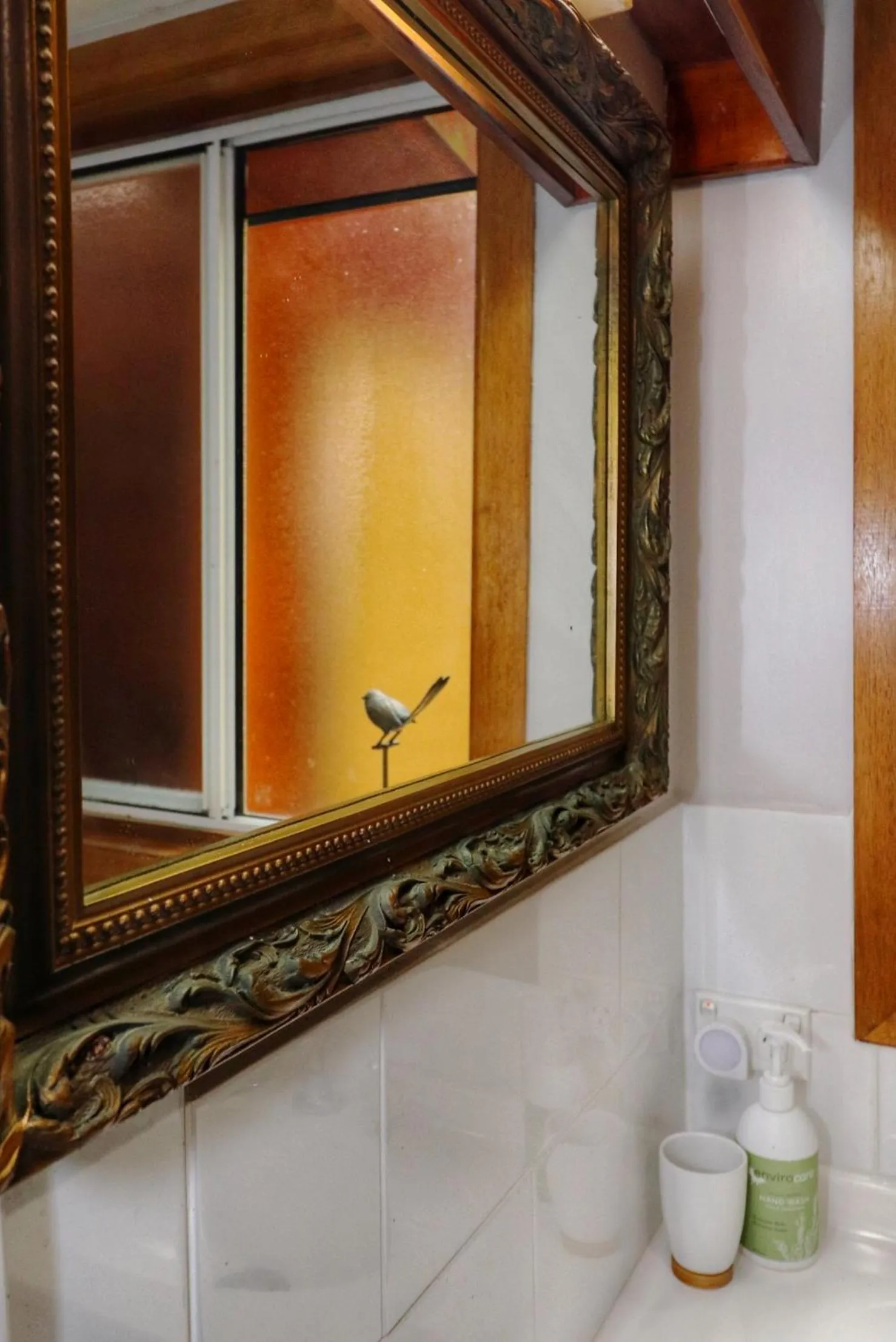 Bathroom in Whitsundays Retreat