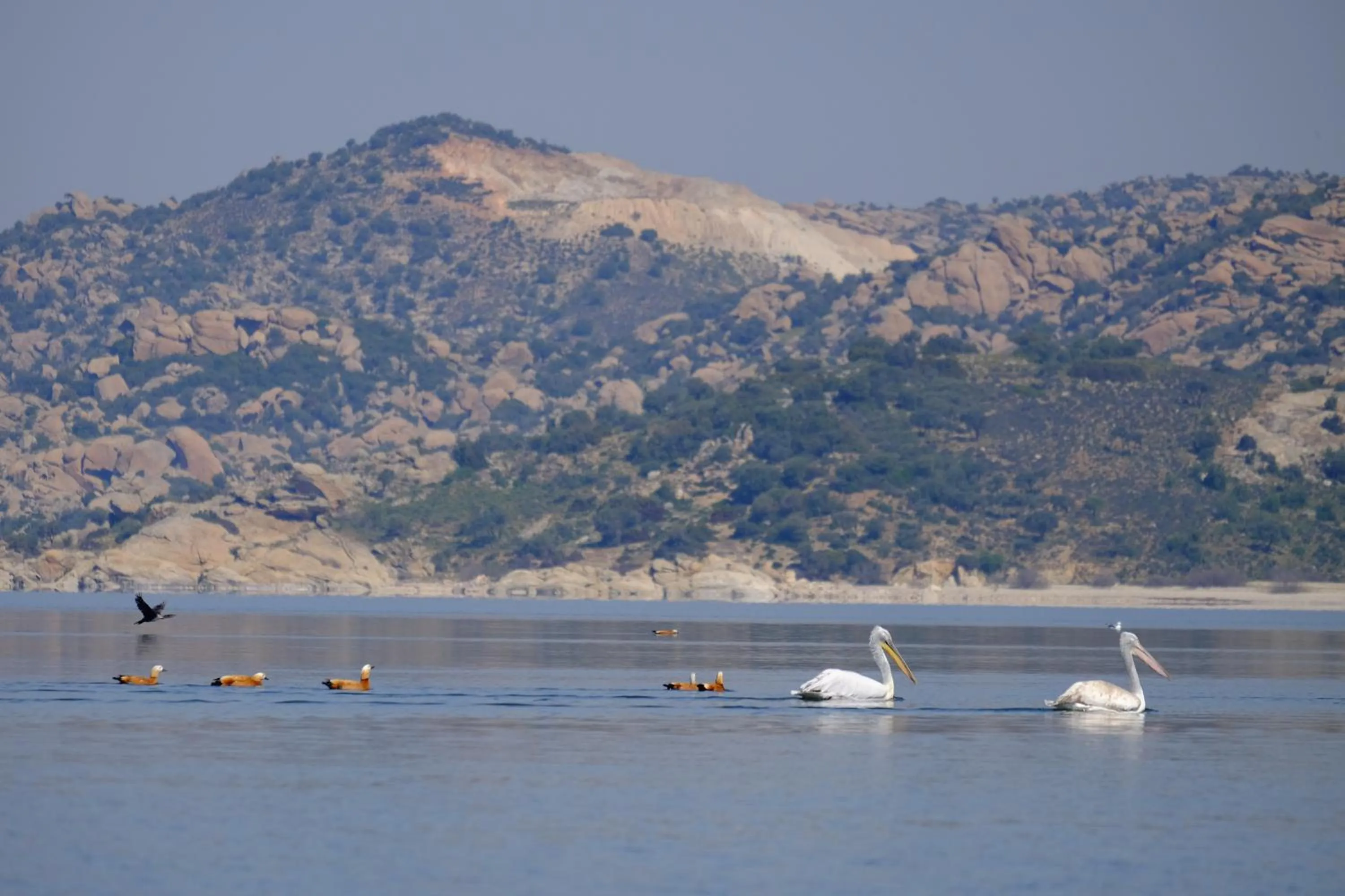 Activities in Selenes Pansiyon