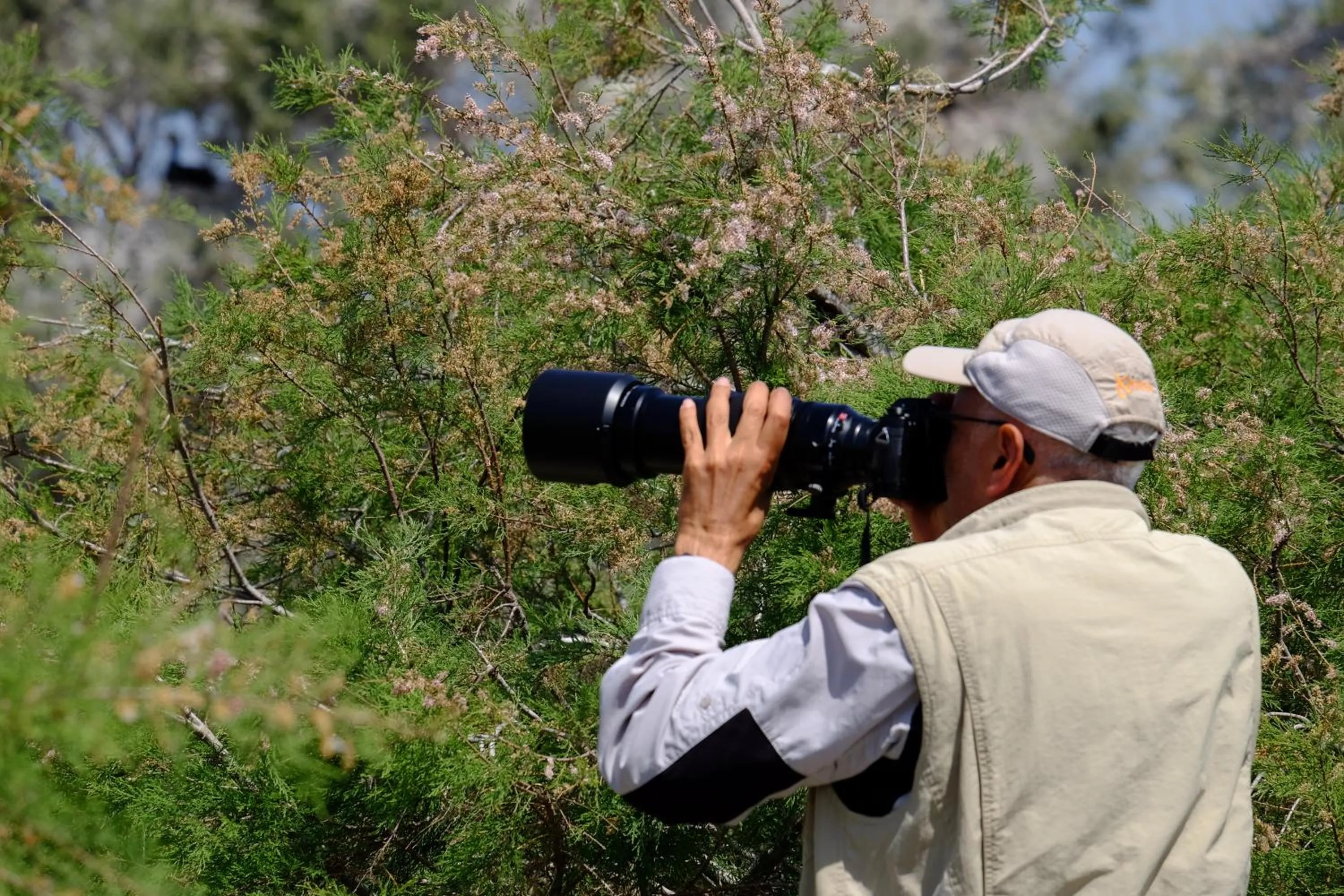 Activities in Selenes Pansiyon