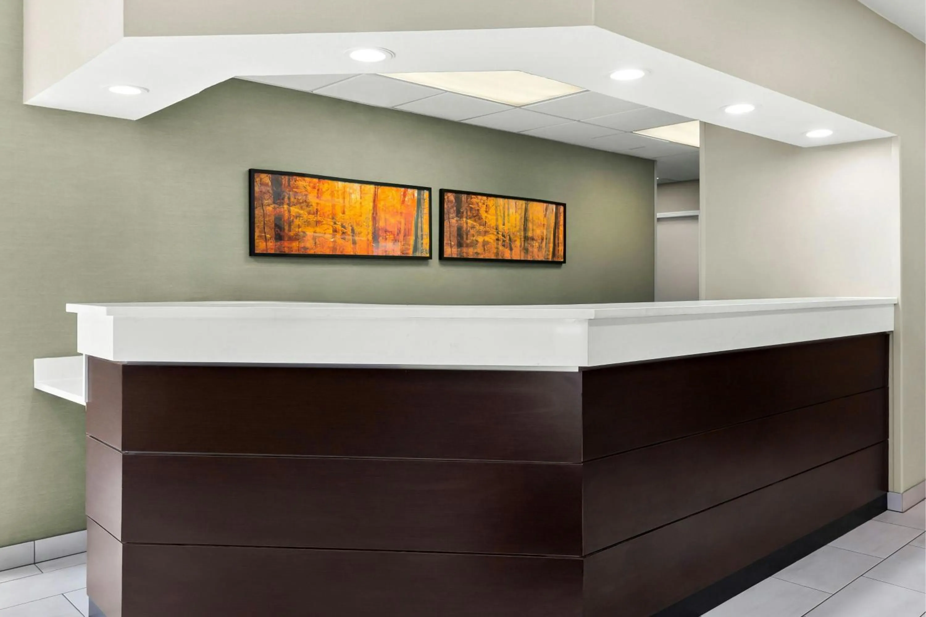 Lobby or reception in Residence Inn Chicago Southeast/Hammond, IN
