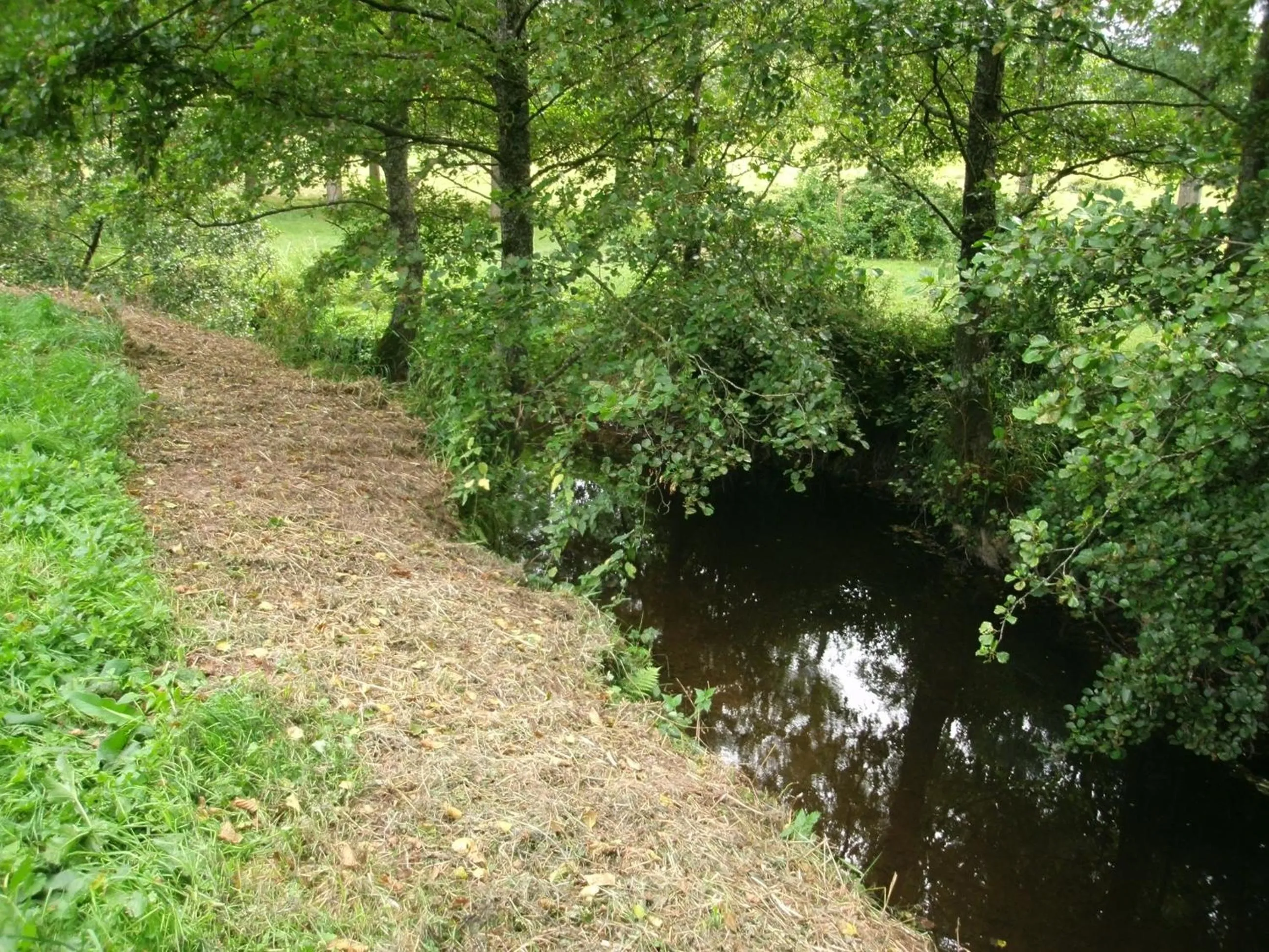 Natural landscape in Chambres d'Hôtes La Clef des Champs Normandie Manche 50