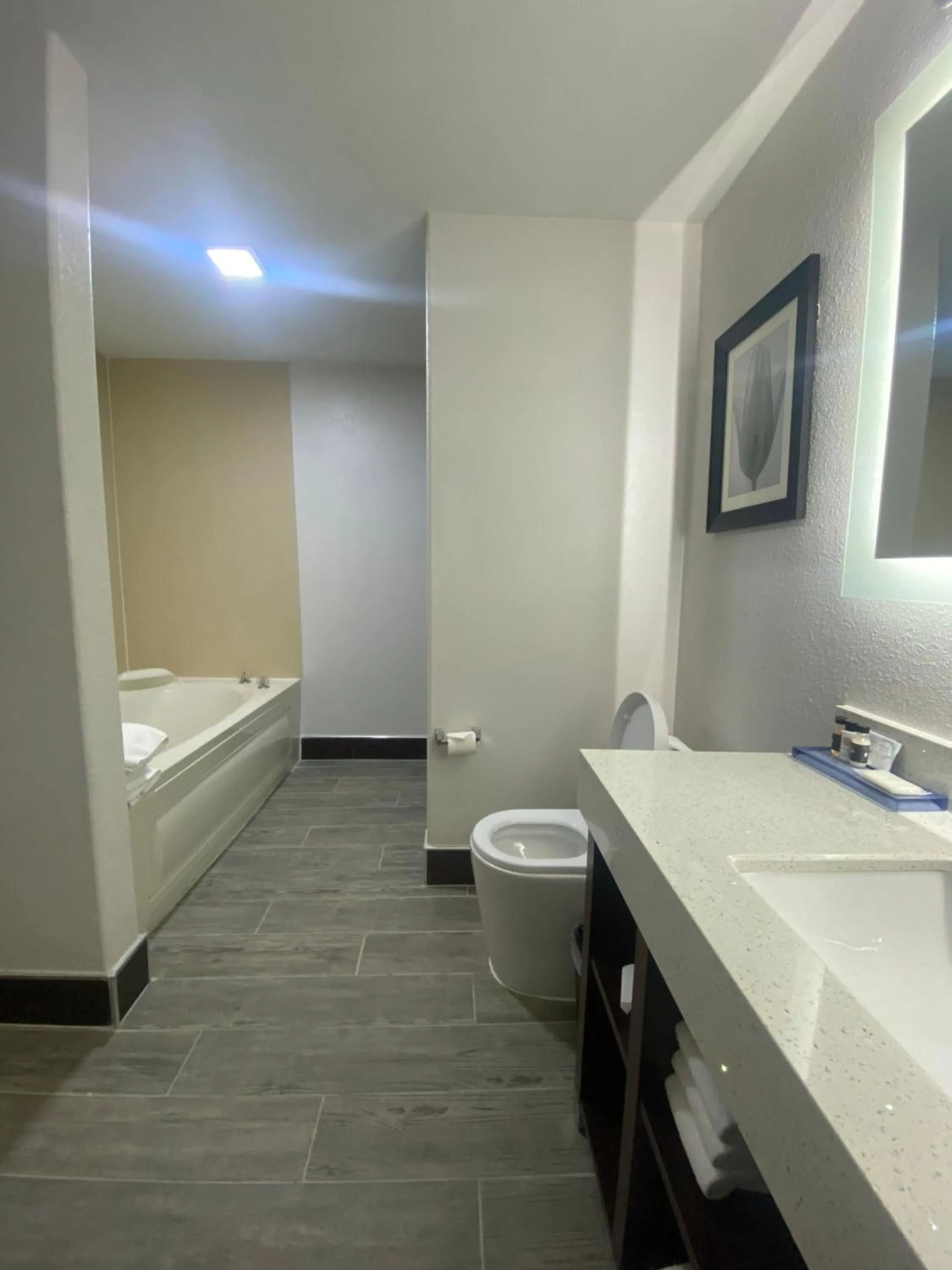 Bathroom in The Leo Collection Detroit, an Ascend Collection Hotel