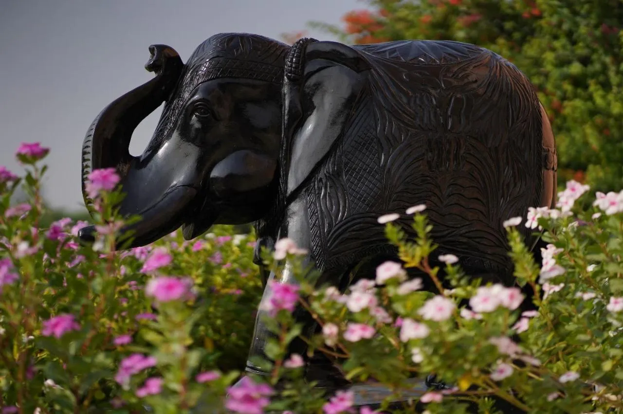 Garden view in Buena Vista Luxury Garden Spa Resort