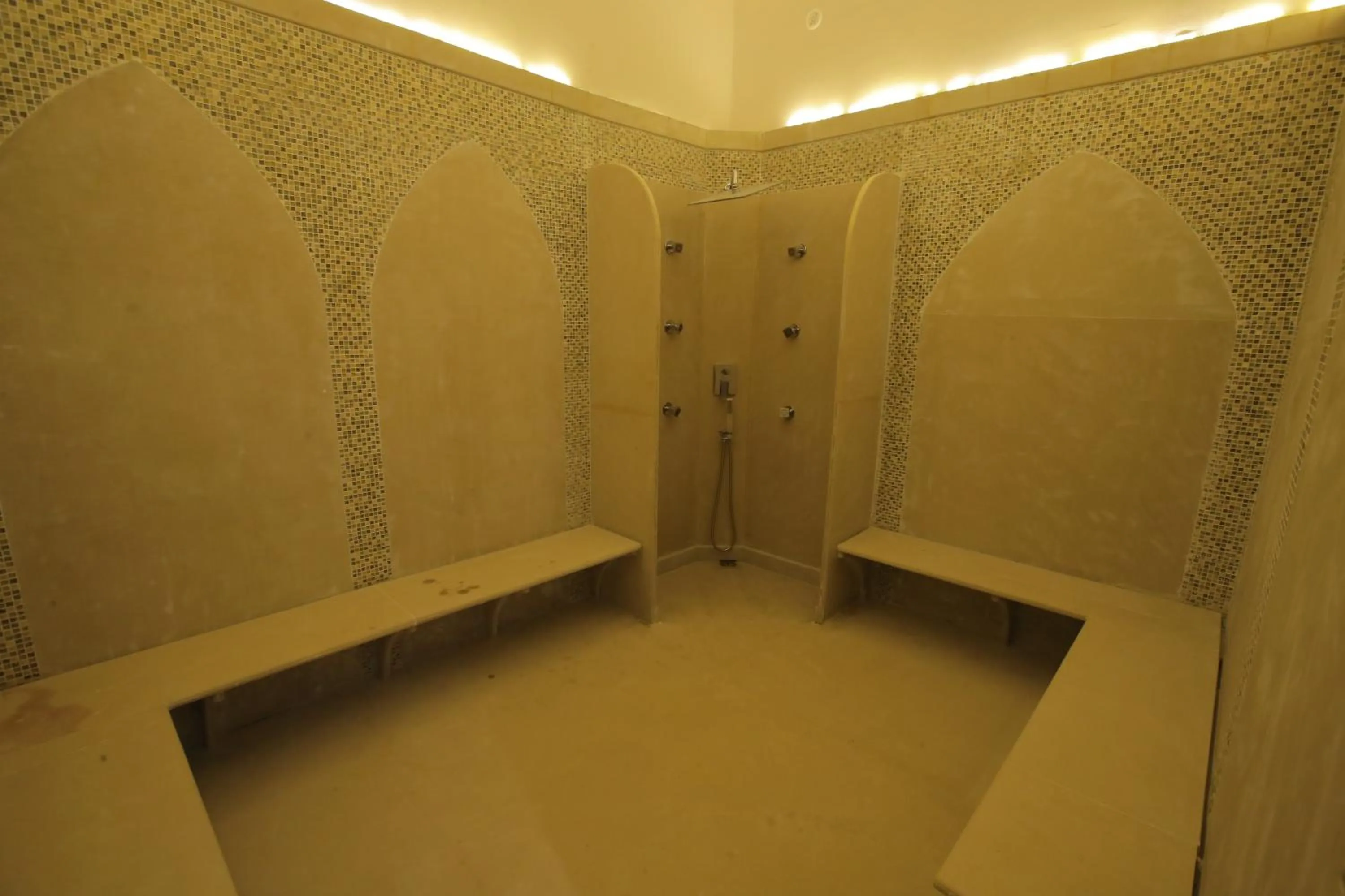 Sauna in Buena Vista Luxury Garden Spa Resort