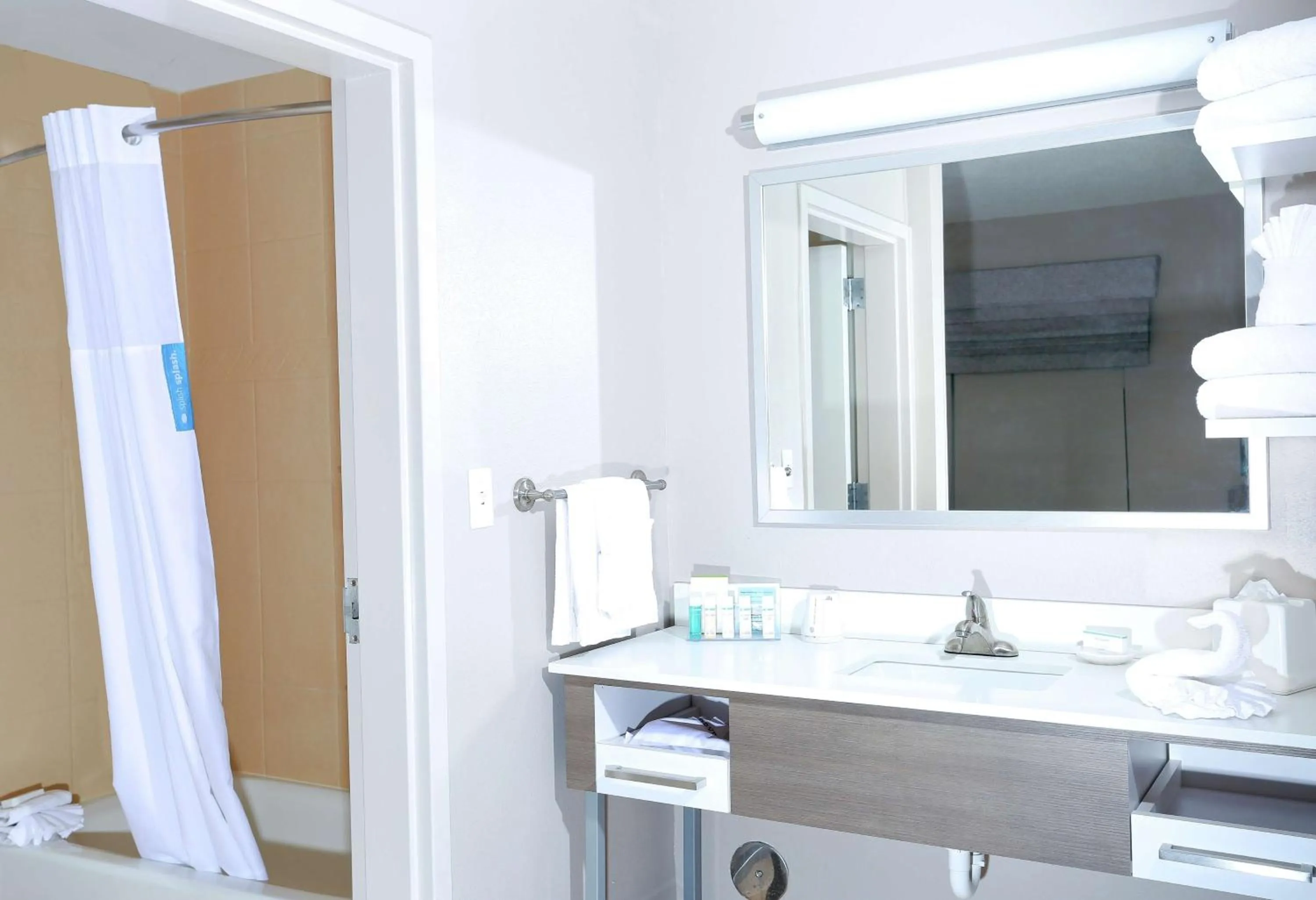 Bathroom in Hampton Inn & Suites Tampa-Wesley Chapel