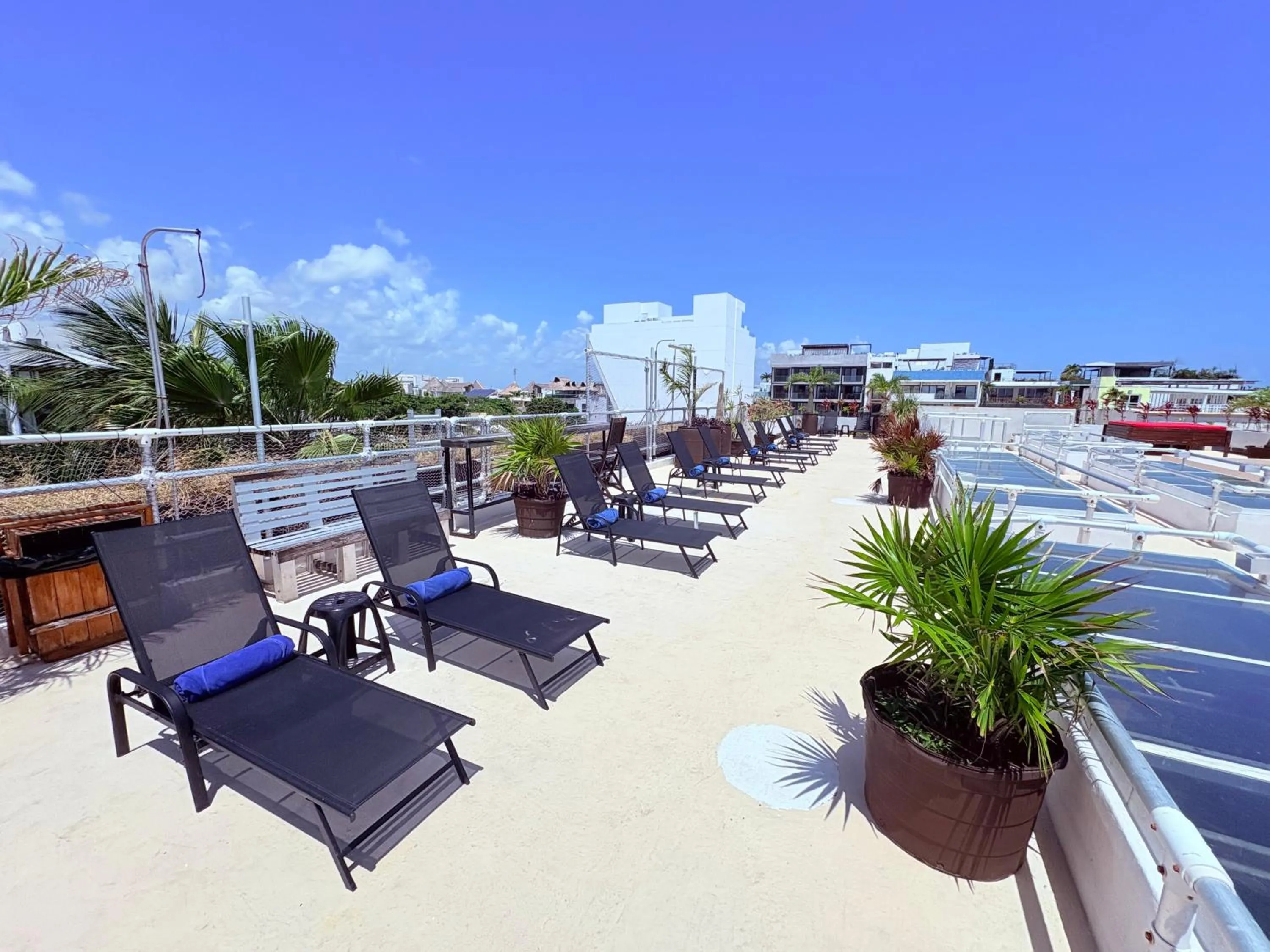 Swimming pool in Reina Roja Hotel Boutique