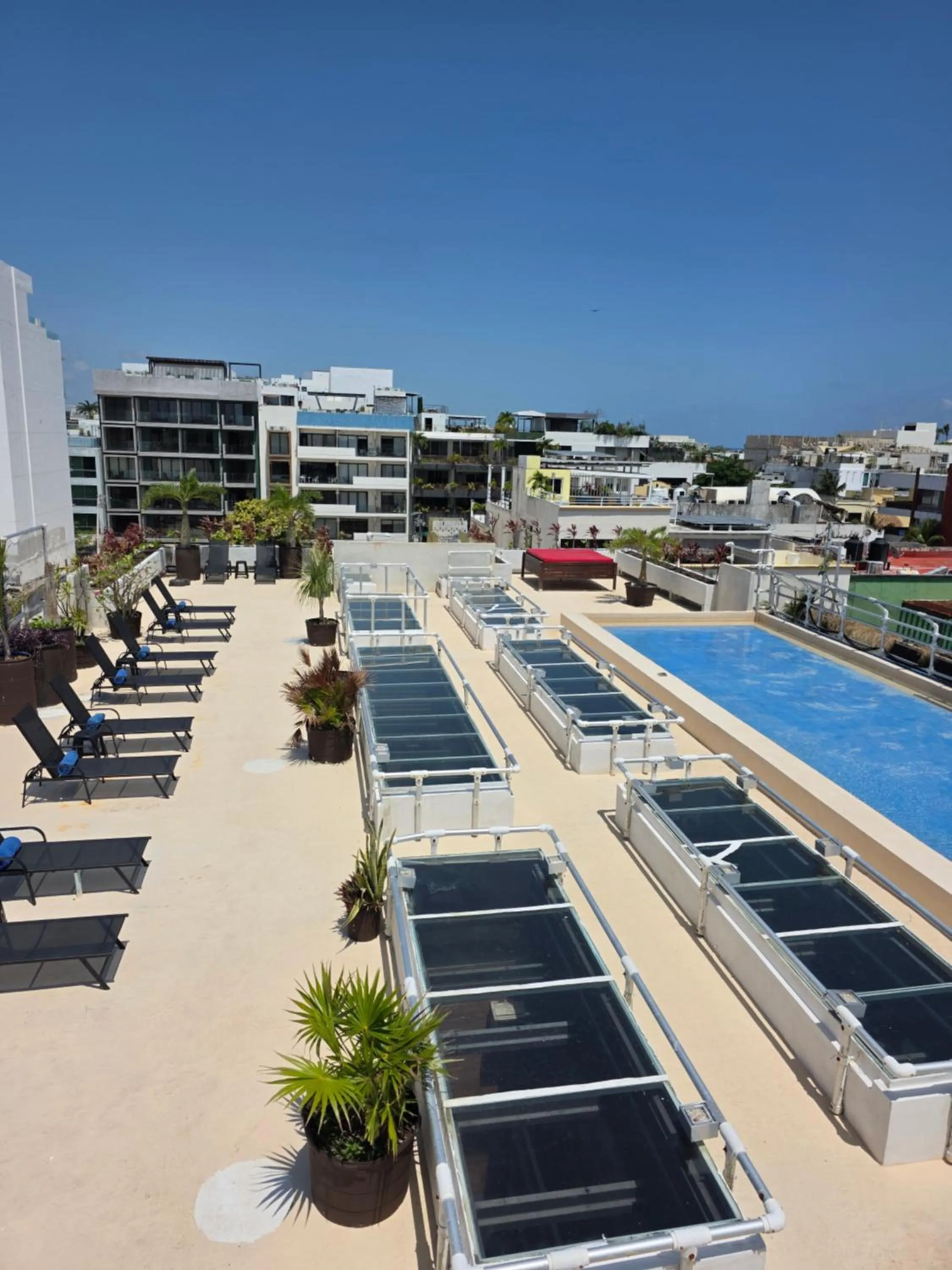 Swimming pool in Reina Roja Hotel Boutique