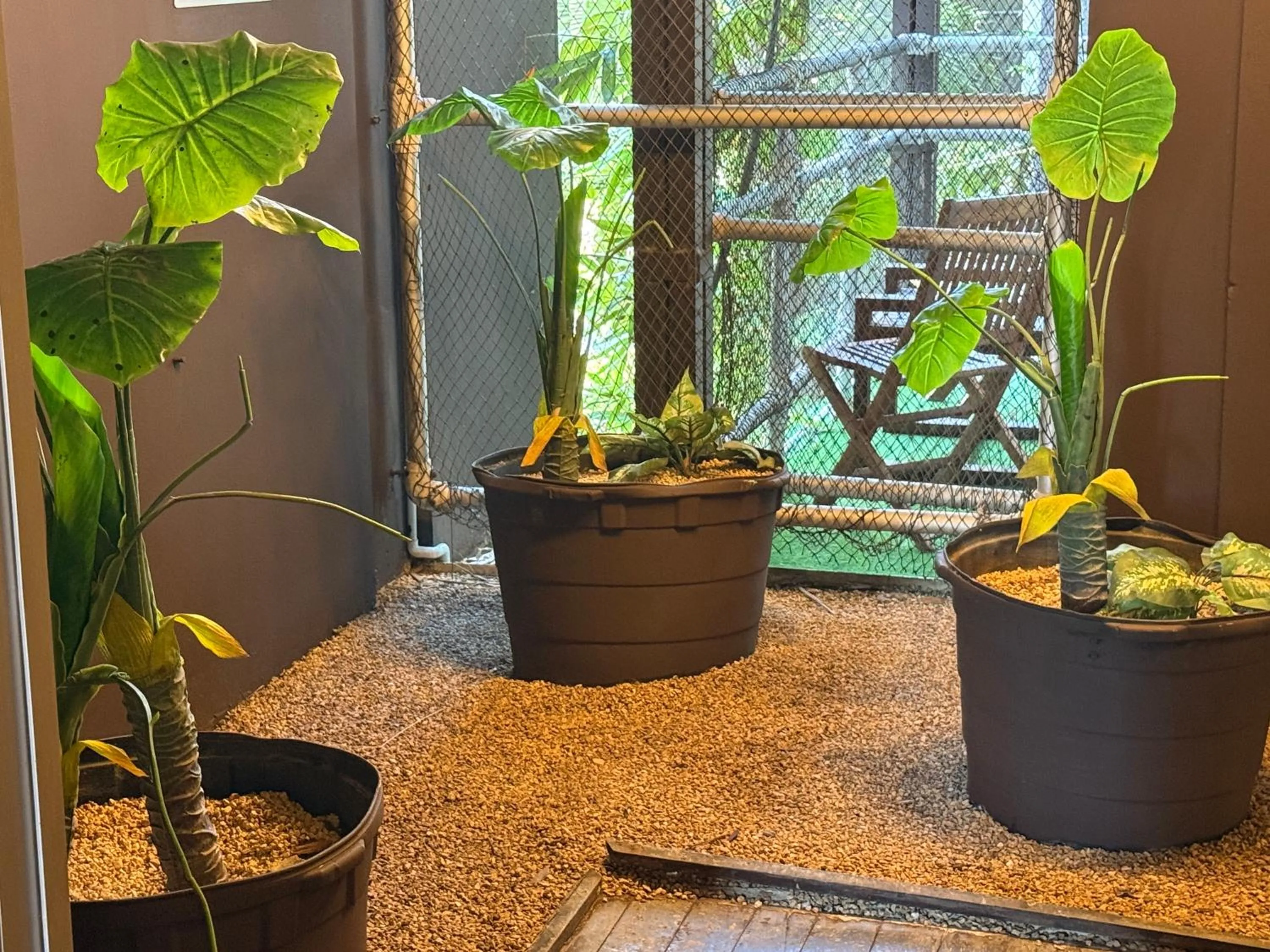 Area and facilities in Reina Roja Hotel Boutique