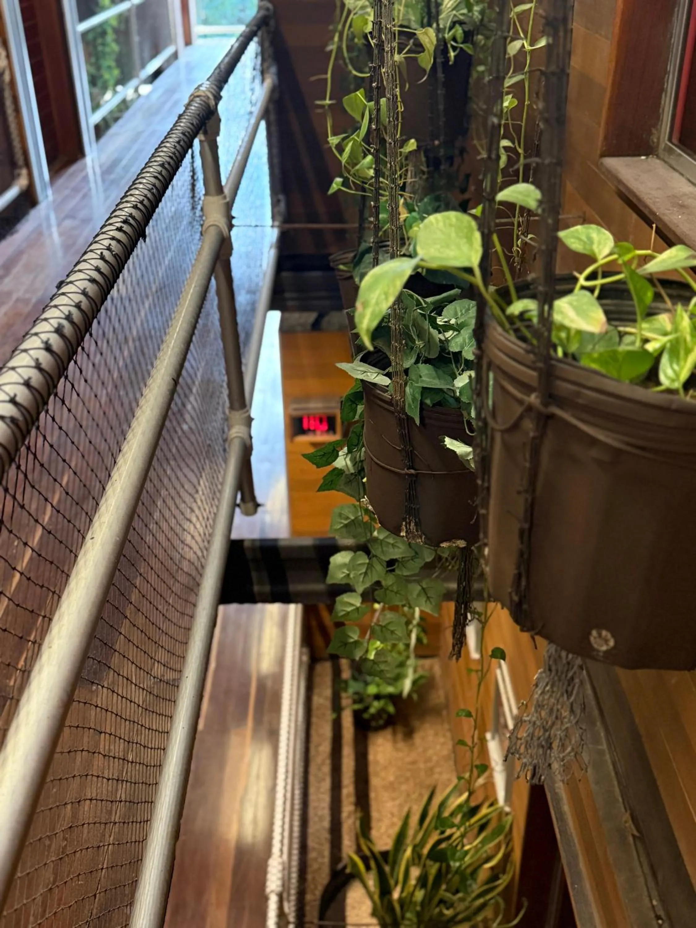 Area and facilities in Reina Roja Hotel Boutique