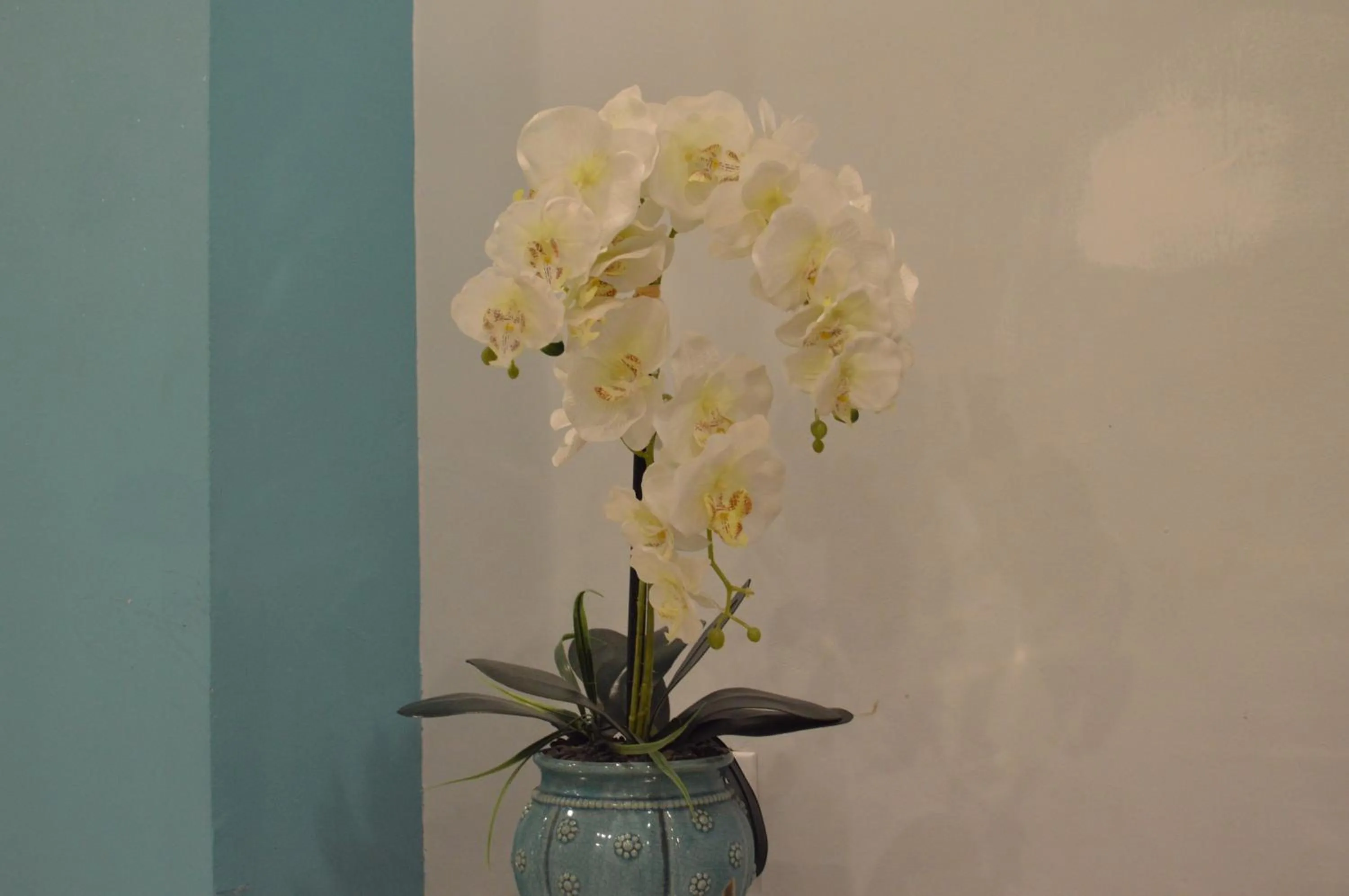 Decorative detail in Miami Sun Hotel - Downtown/Port of Miami