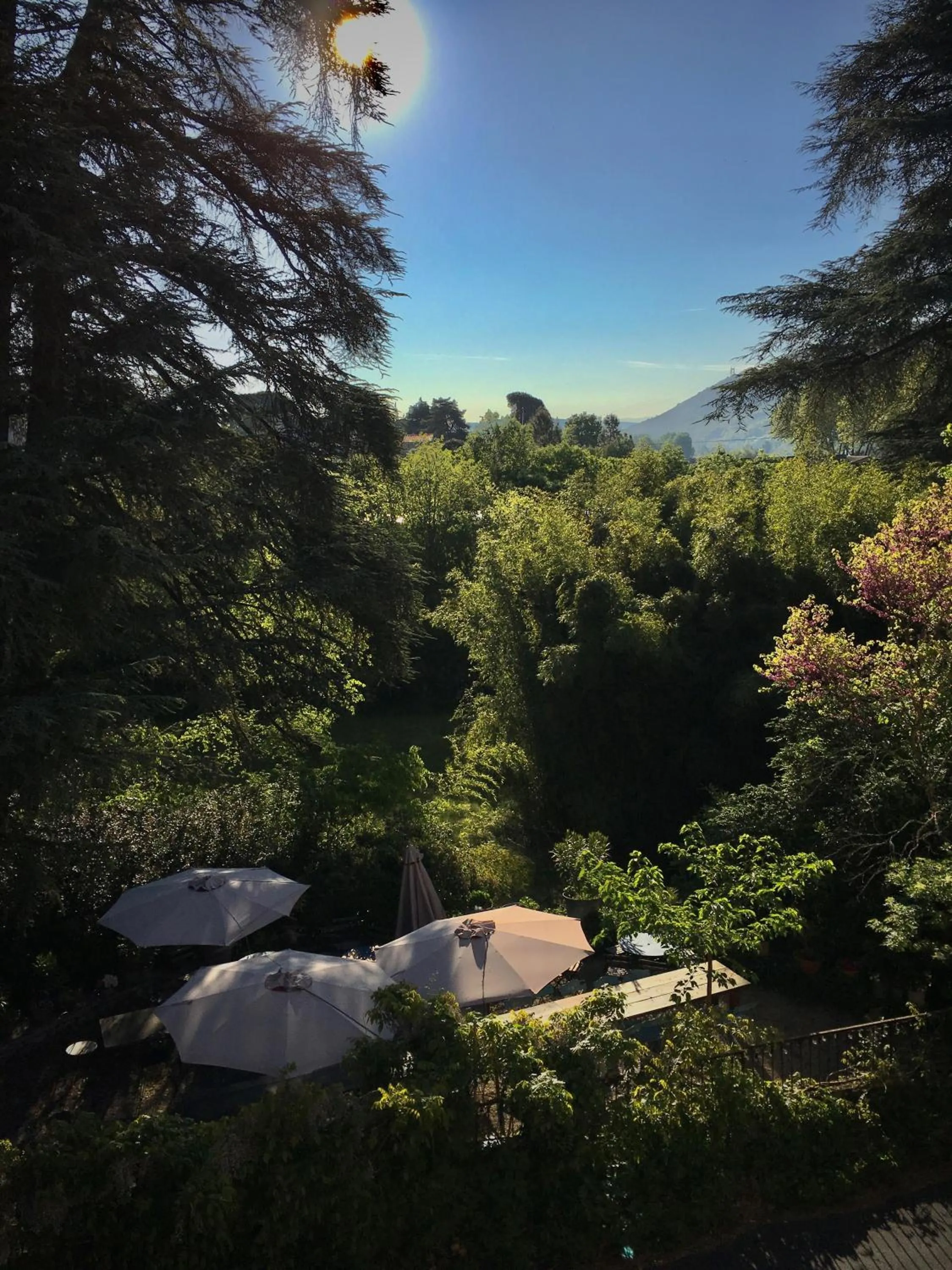 Garden in Domaine de l'Amiral