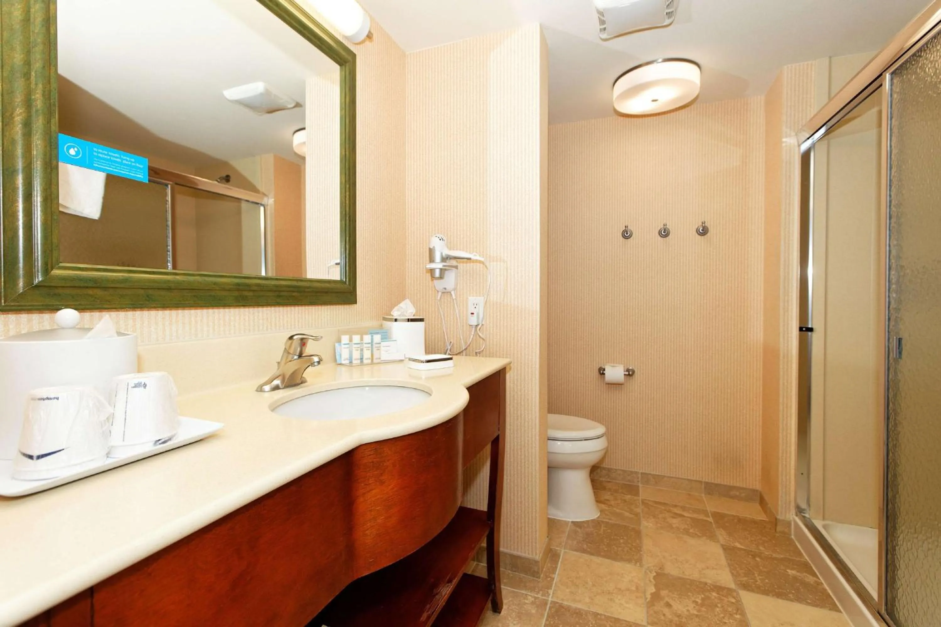 Bathroom in Hampton Inn by Hilton Montrose