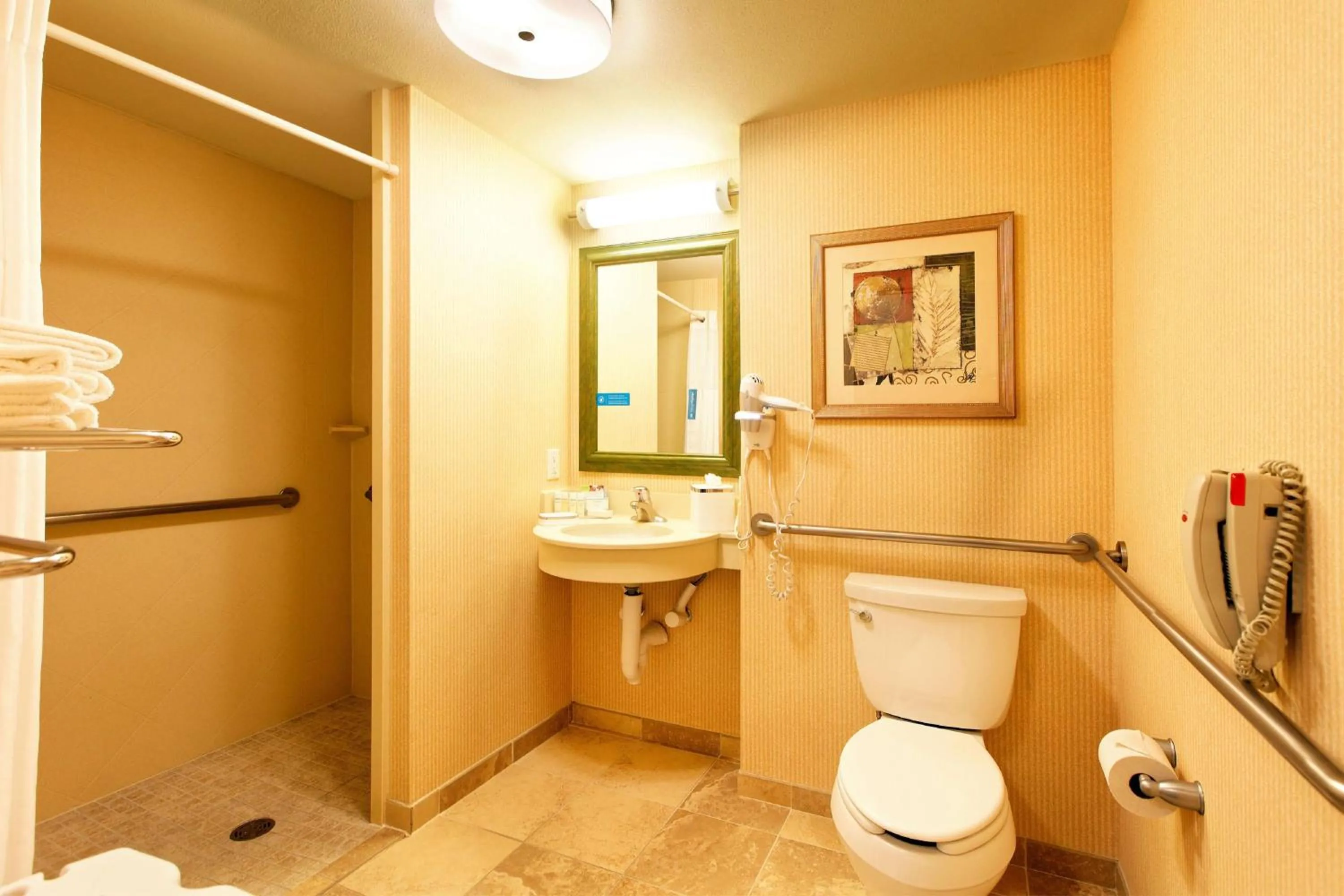 Bathroom in Hampton Inn by Hilton Montrose