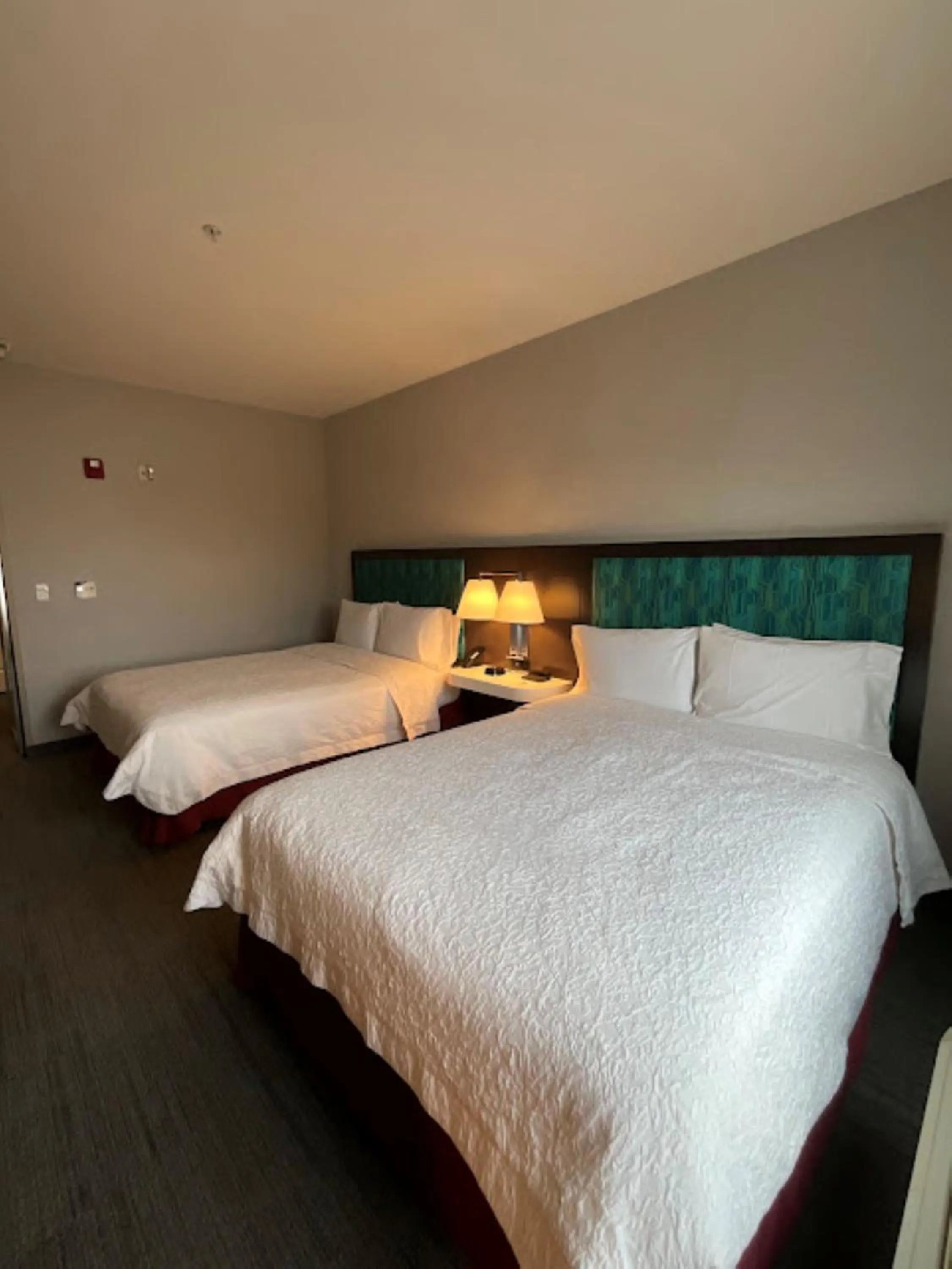 Bed in Hampton Inn by Hilton Montrose