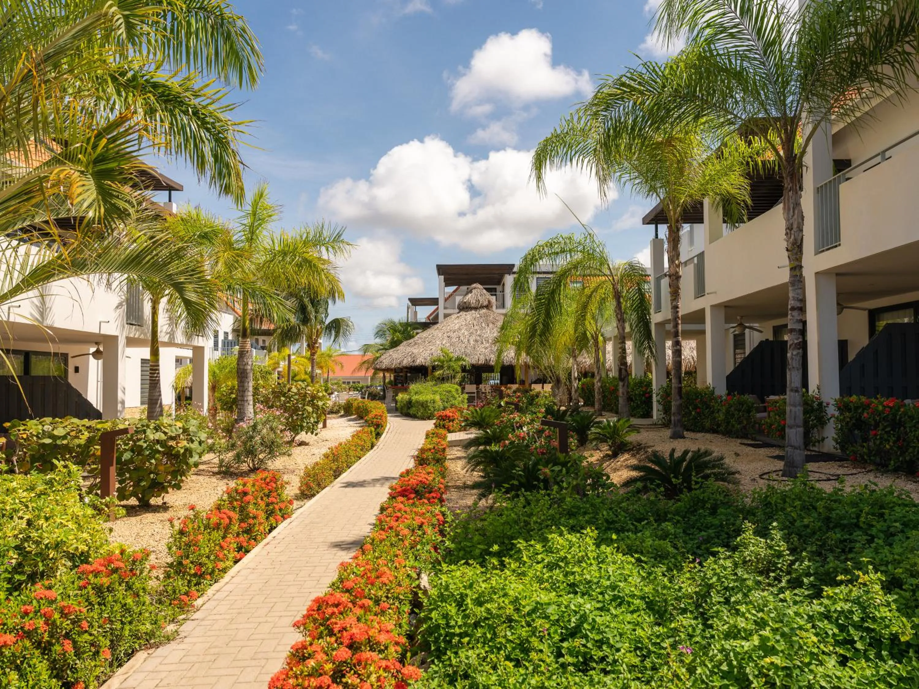 Garden in Resort Bonaire