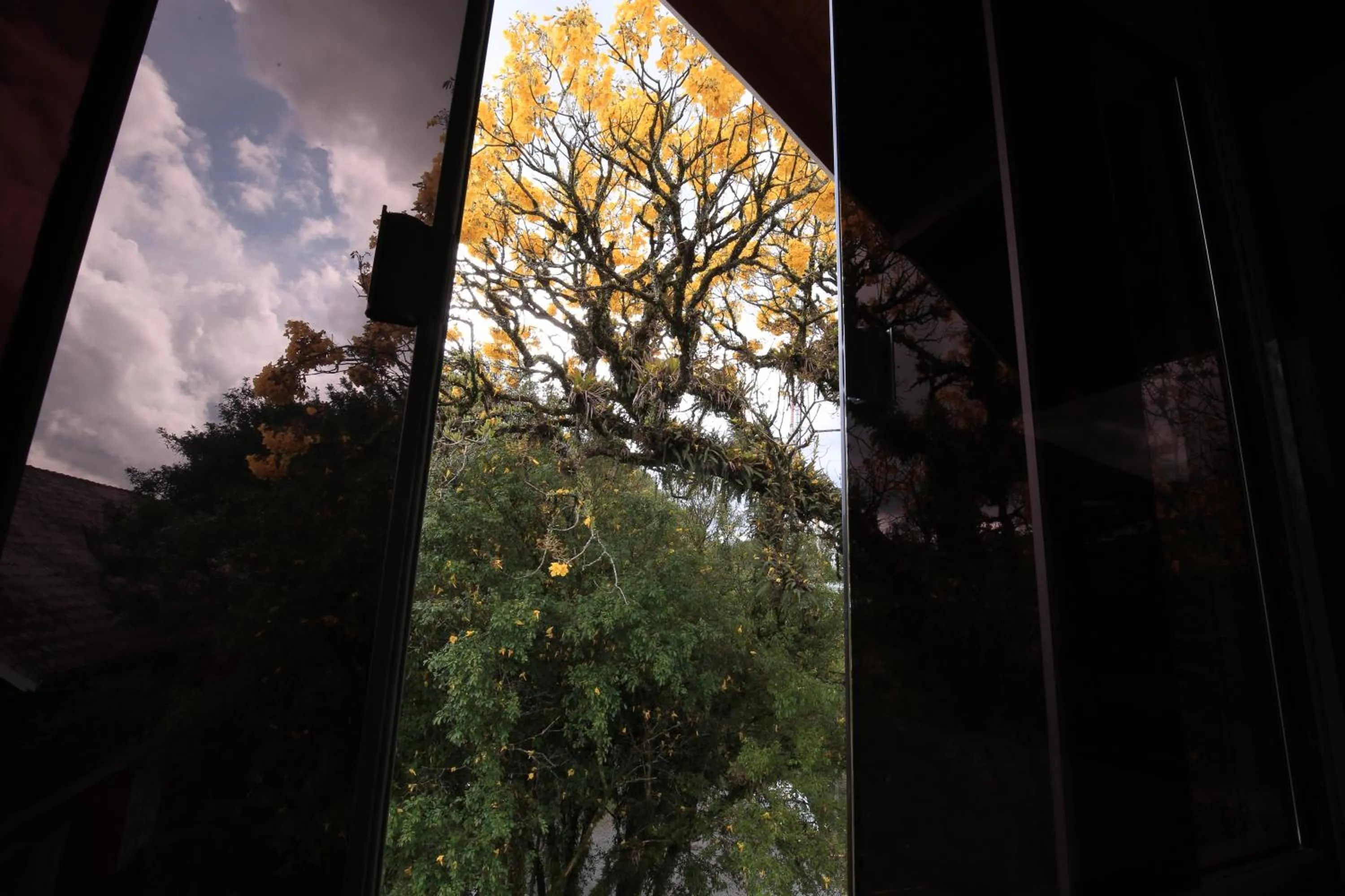 View (from property/room) in Aardvark Inn Pousada