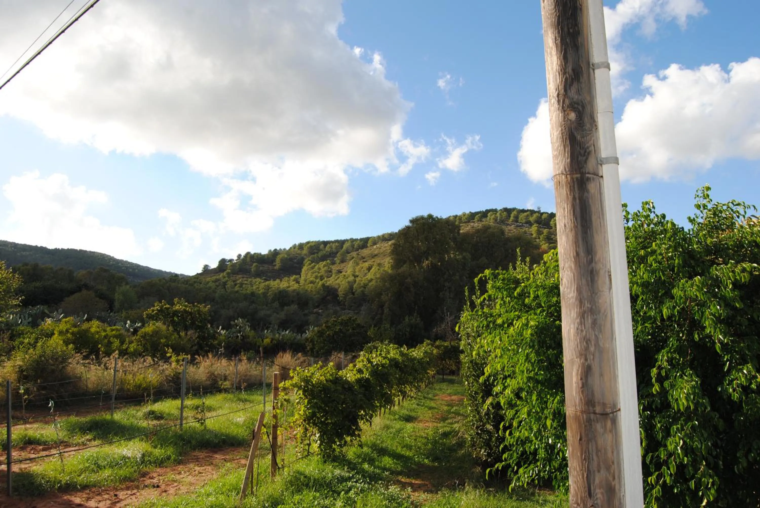 Property building in B&B ARENOSU25