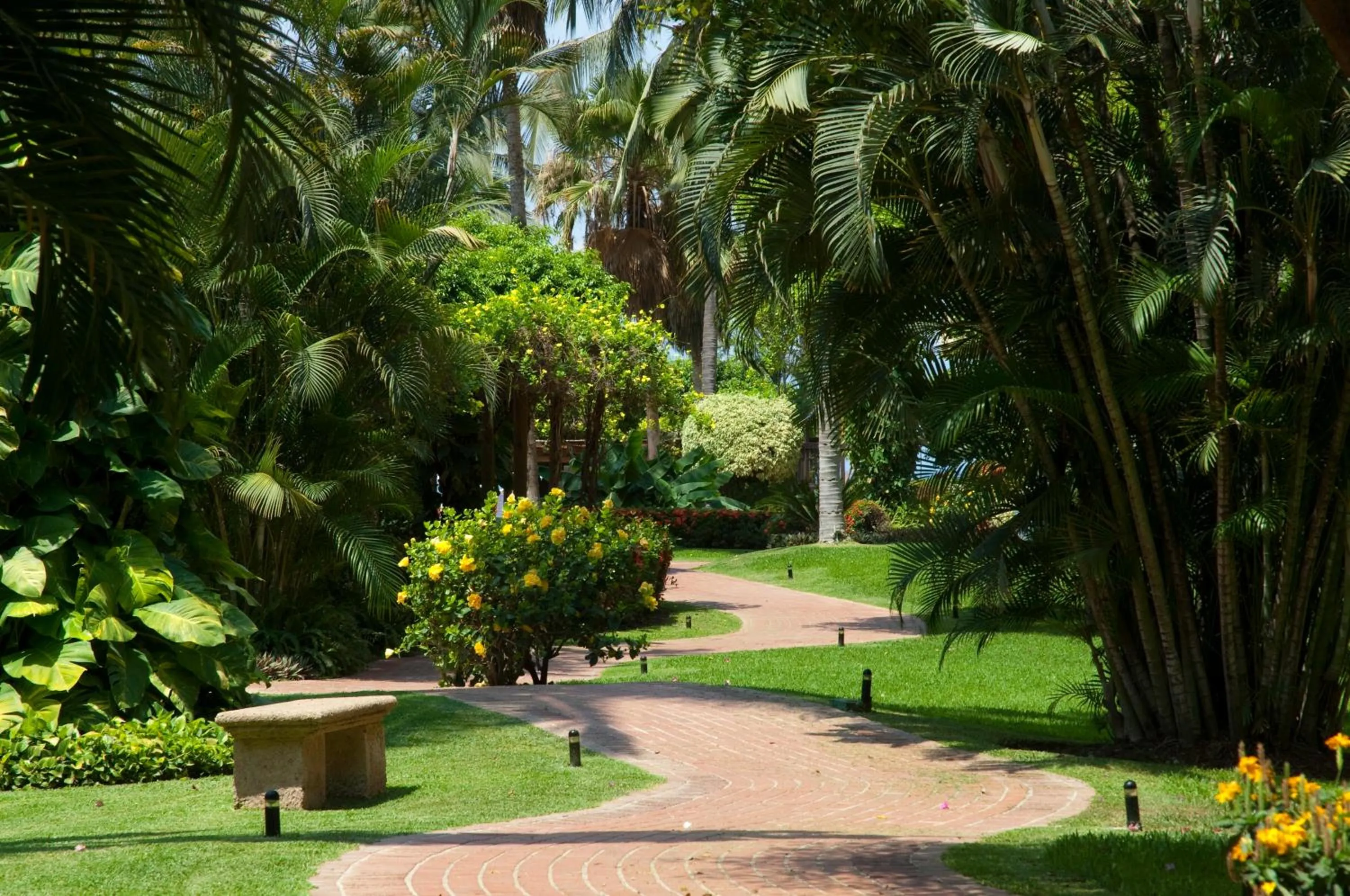 Garden in Velas Vallarta Suite Resort All-Inclusive