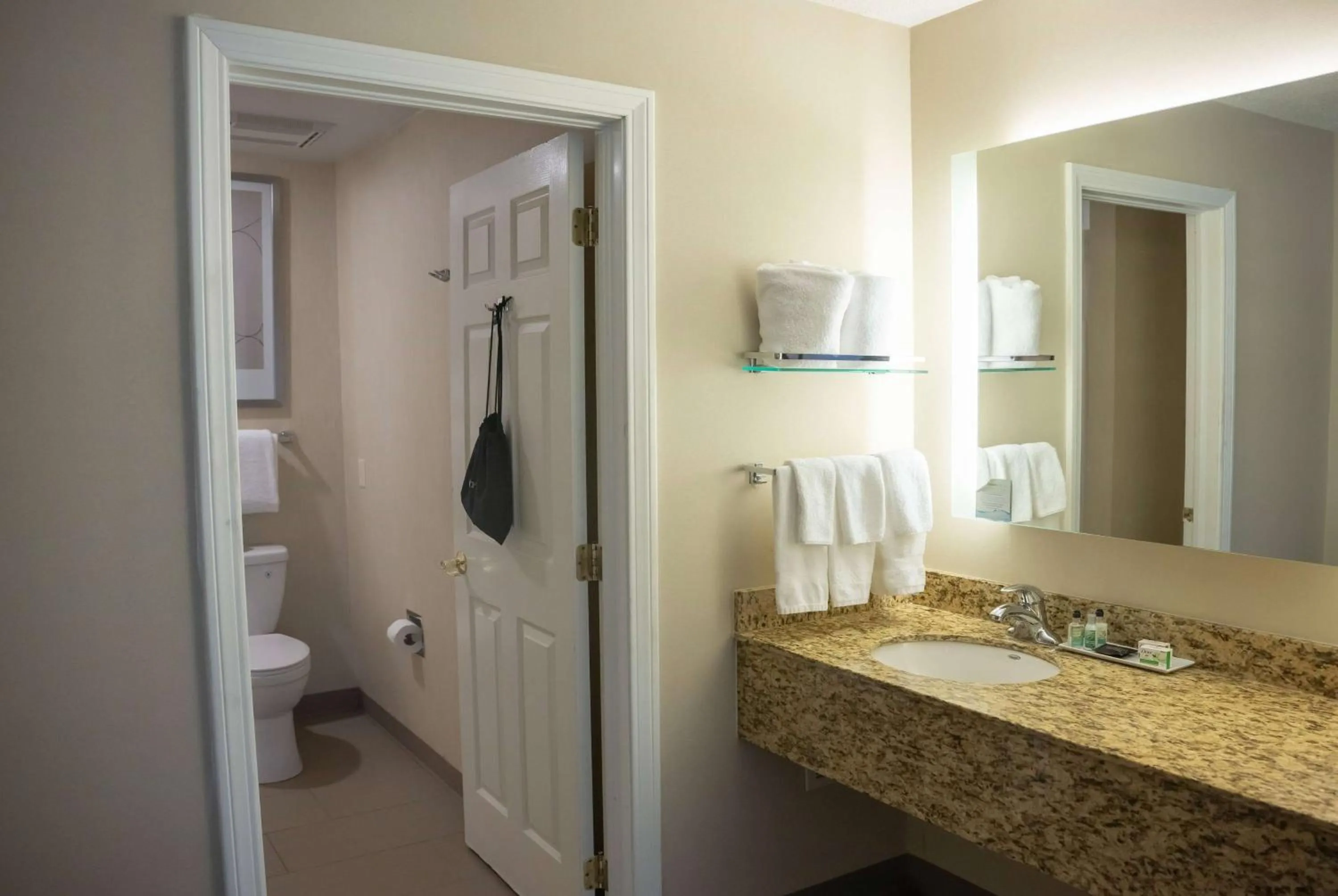 TV and multimedia in Hawthorn Suites by Wyndham Erie