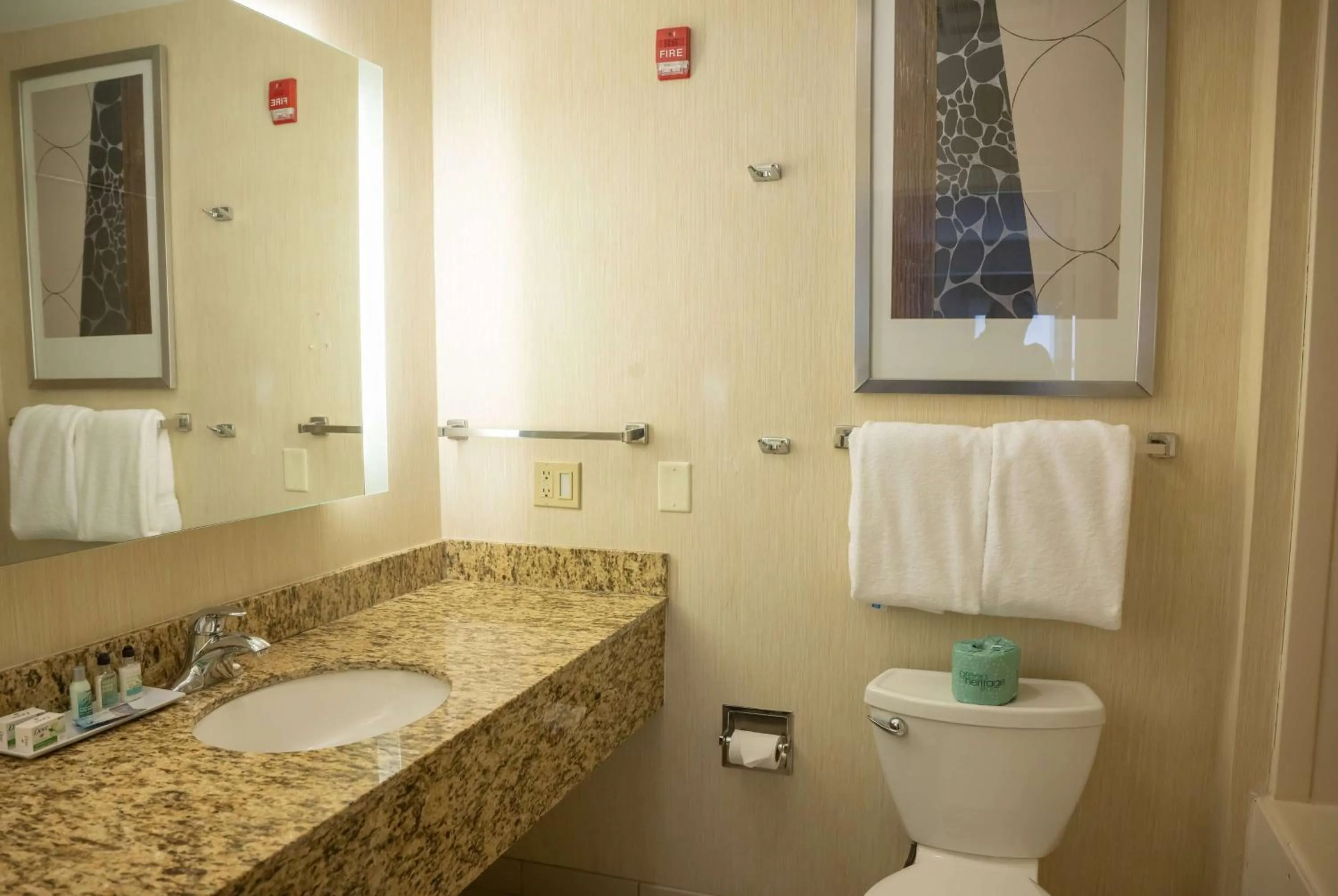 TV and multimedia in Hawthorn Suites by Wyndham Erie