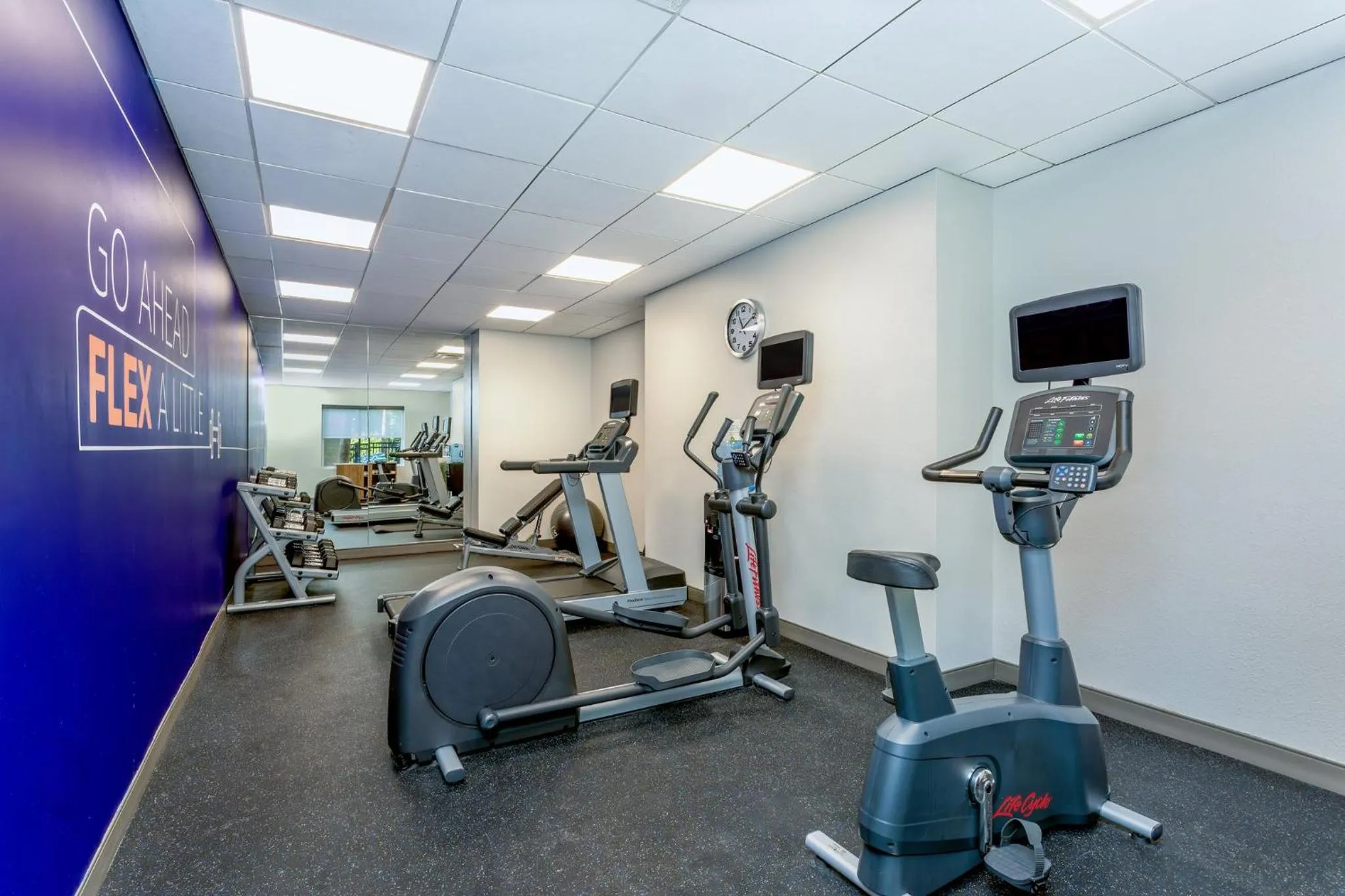 Fitness centre/facilities in Holiday Inn Express & Suites Palm Coast - I-95