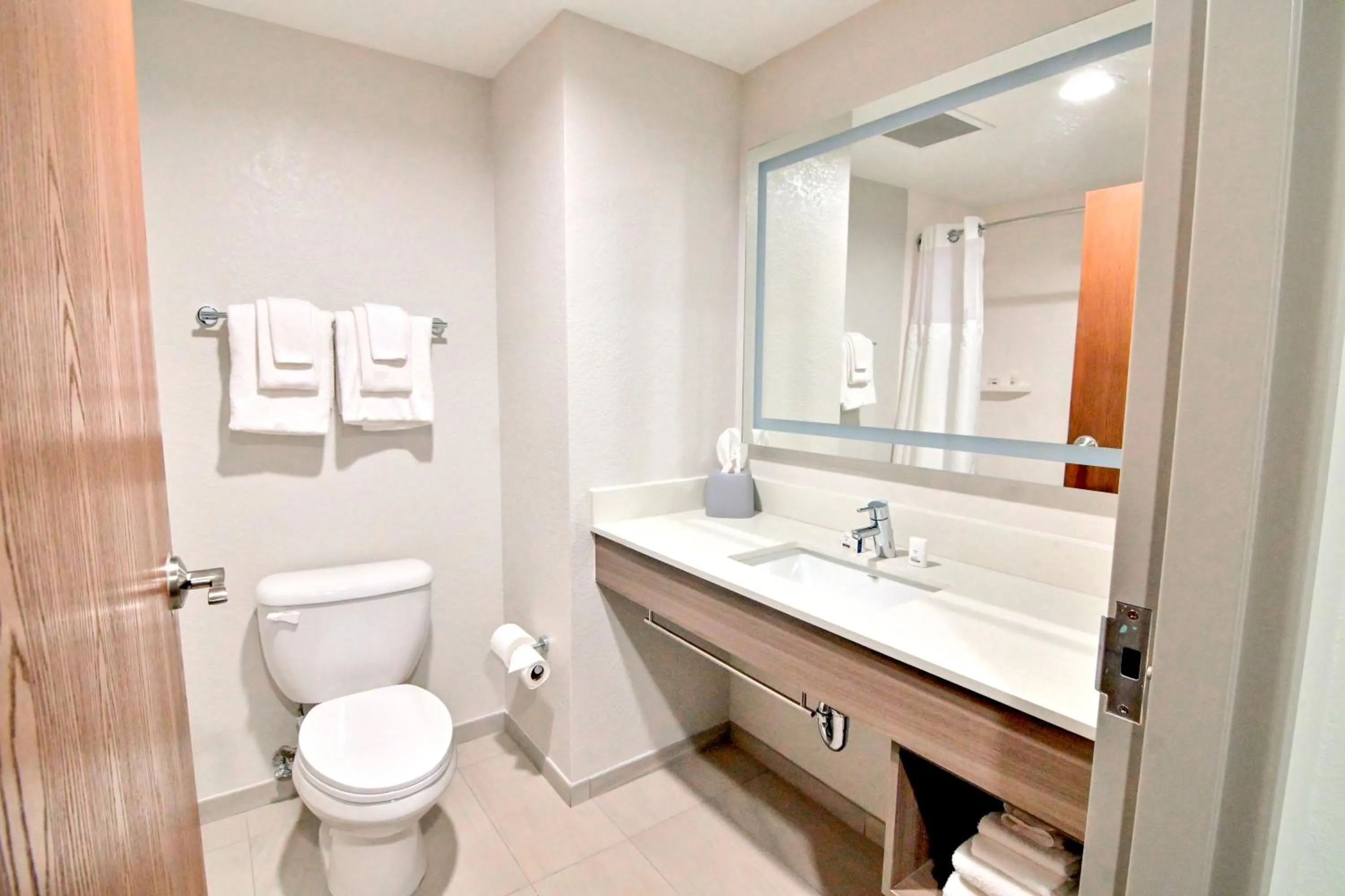 Bathroom in Holiday Inn Express & Suites Palm Coast - I-95