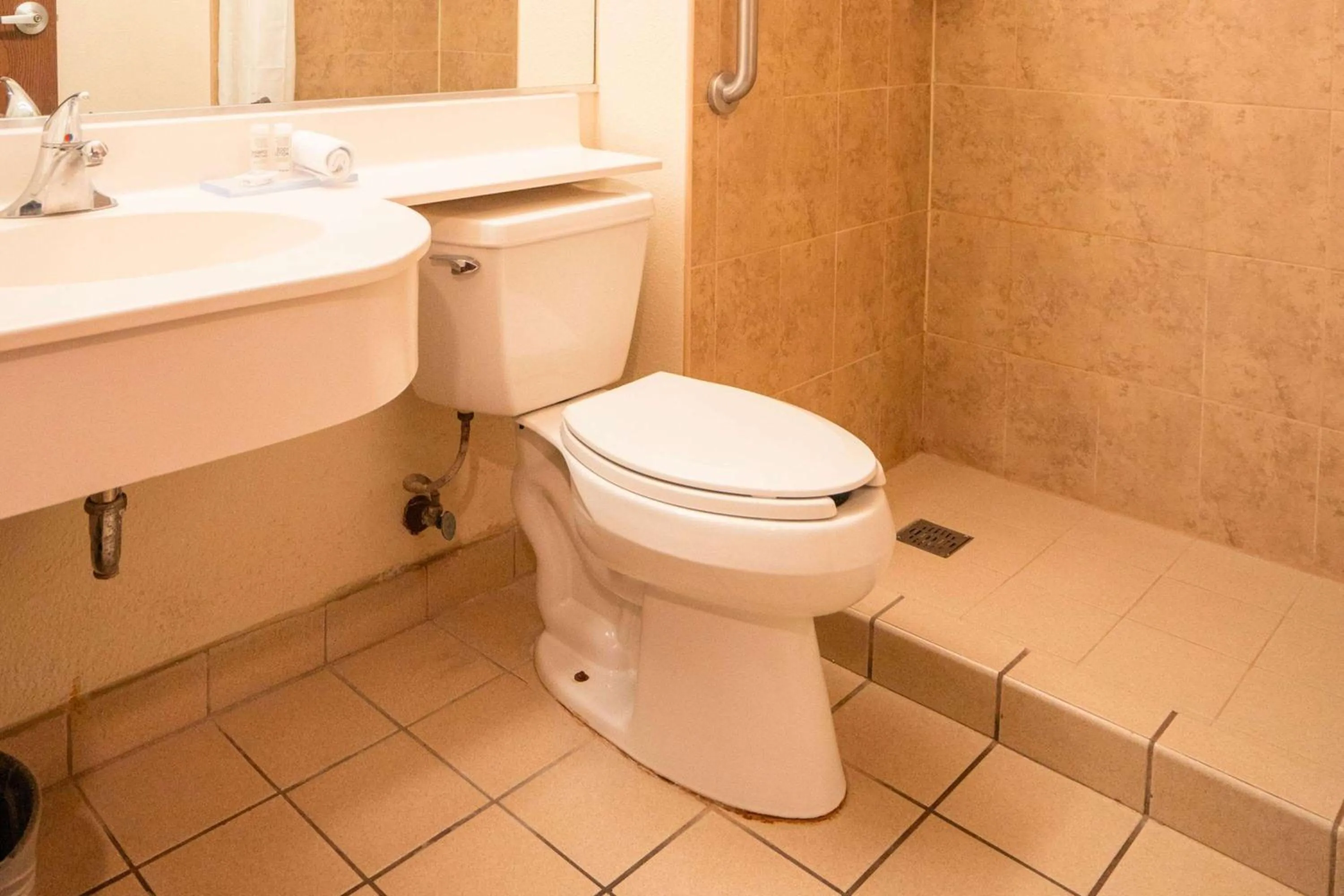 Bathroom in Microtel Inn and Suites by Wyndham Ciudad Juarez, US Consulate