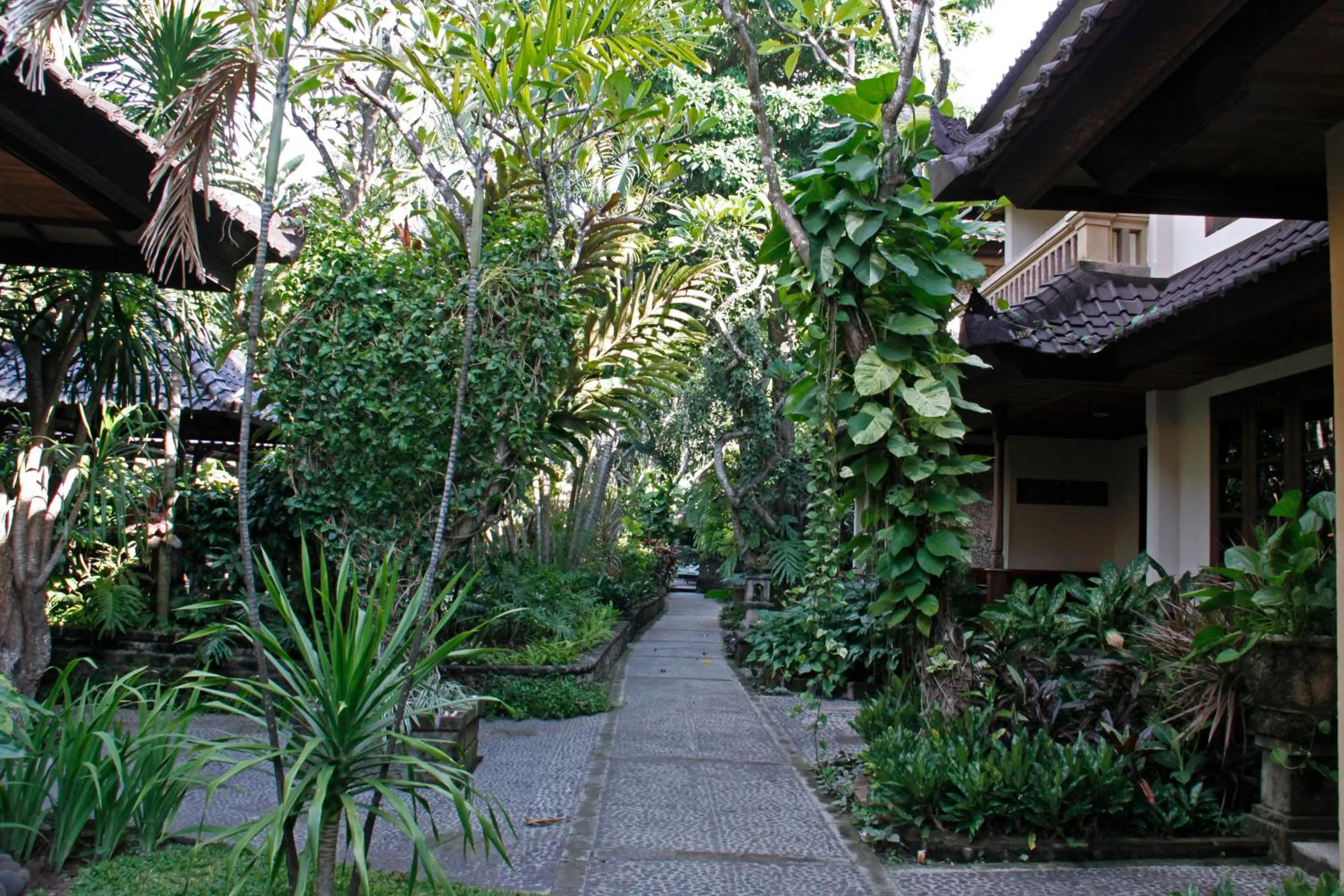 Natural landscape in Hotel Puri Bambu