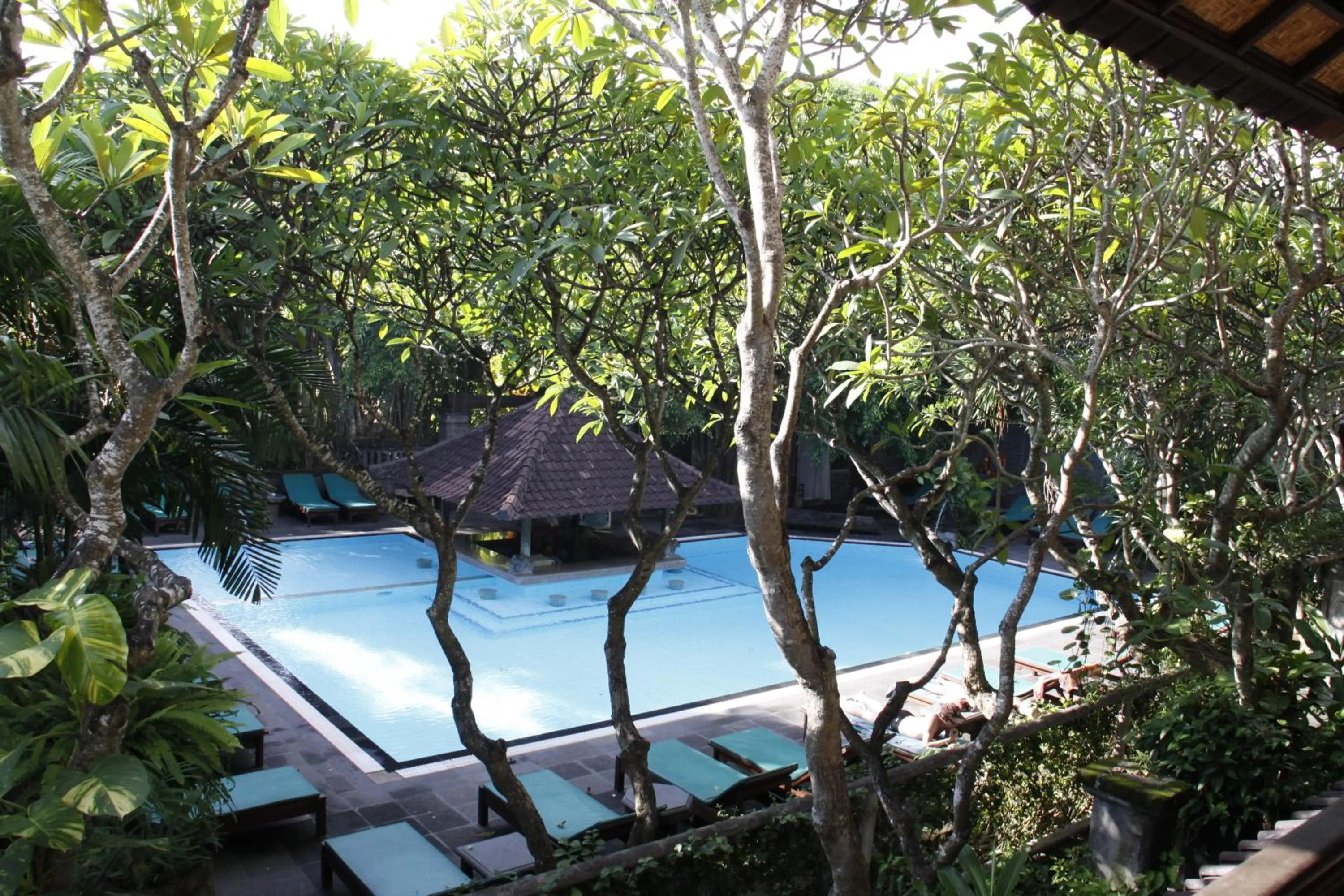 Swimming pool in Hotel Puri Bambu