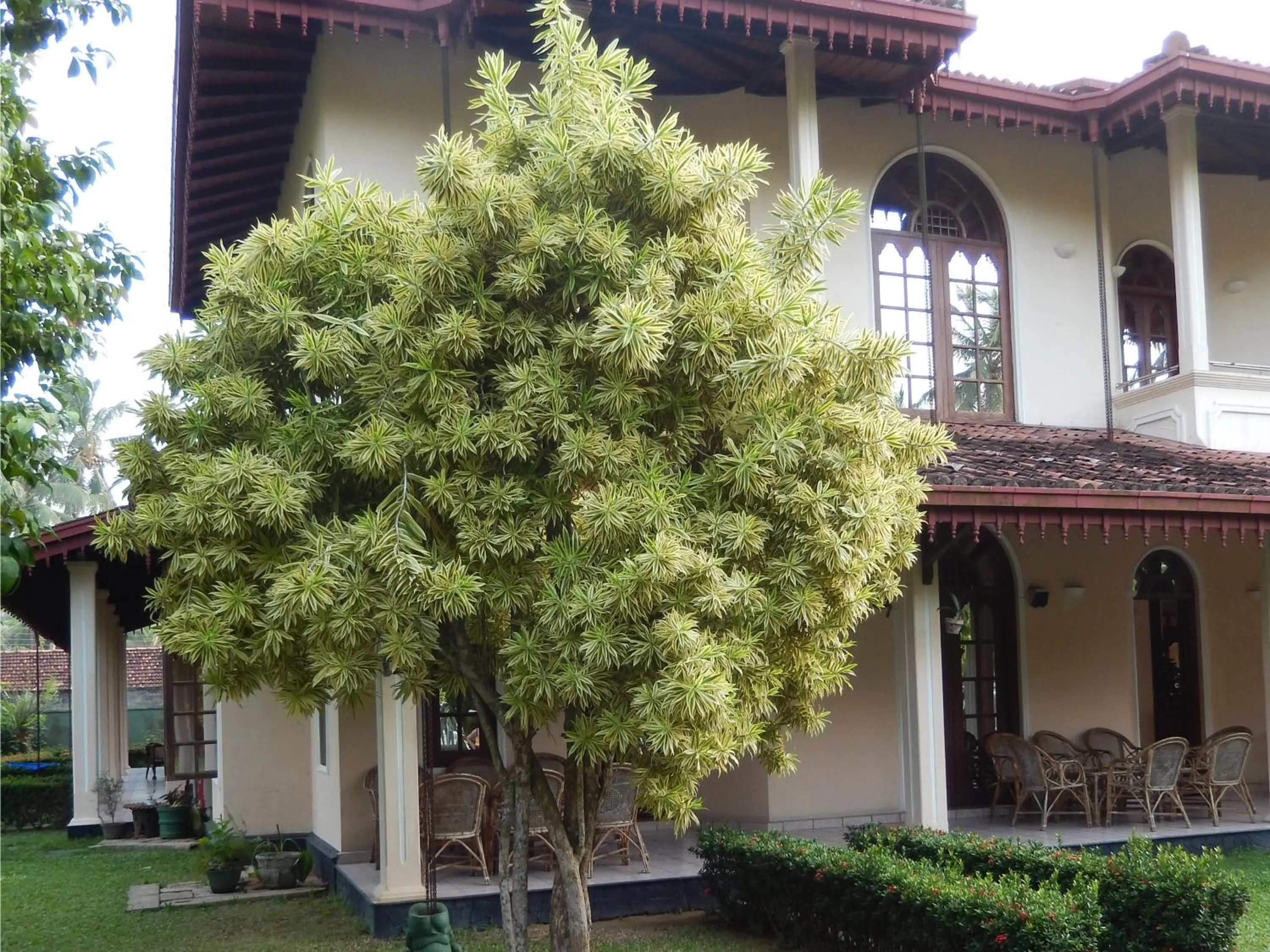 Facade/entrance in Villa Ranmenika