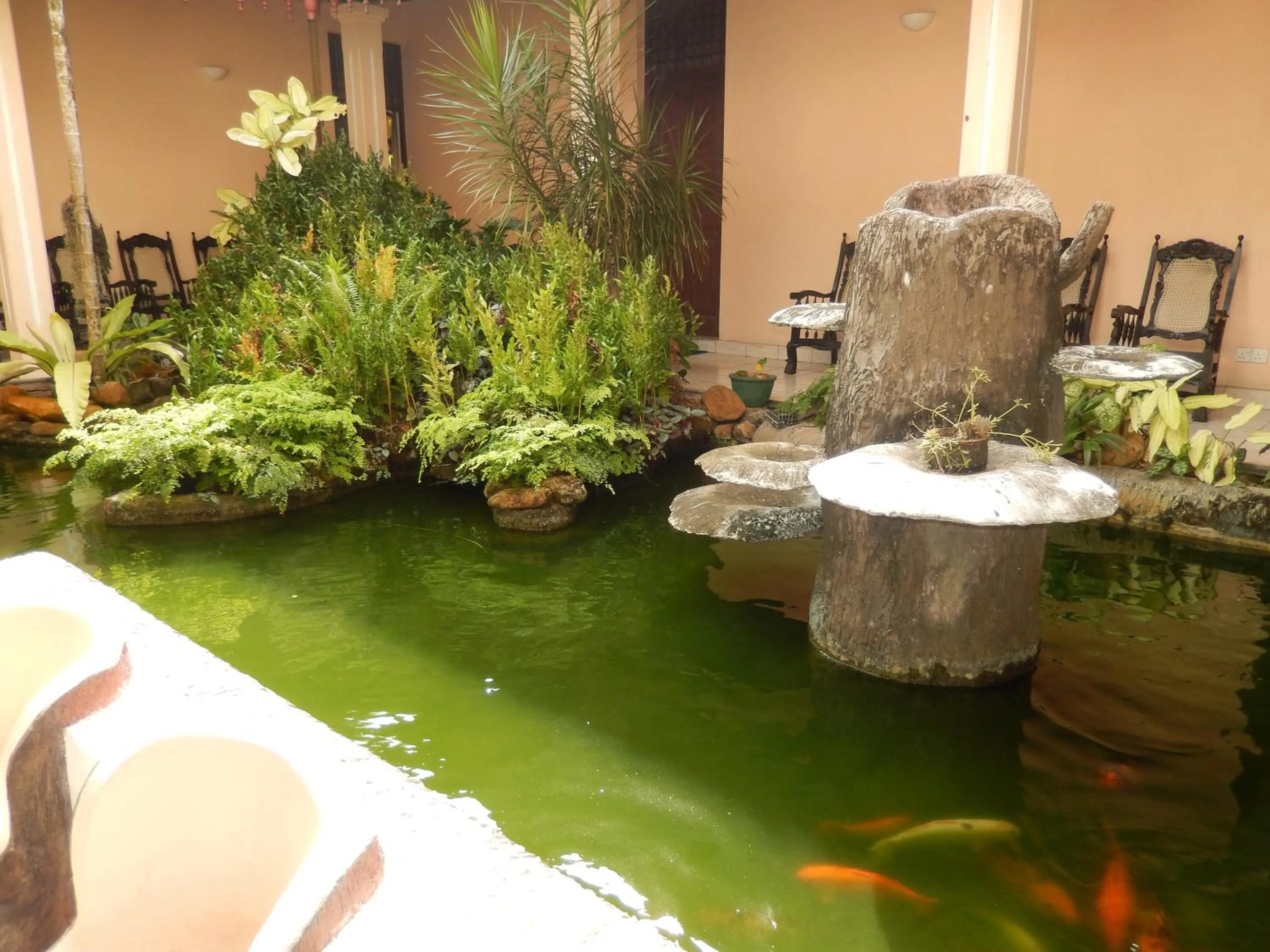 Animals in Villa Ranmenika