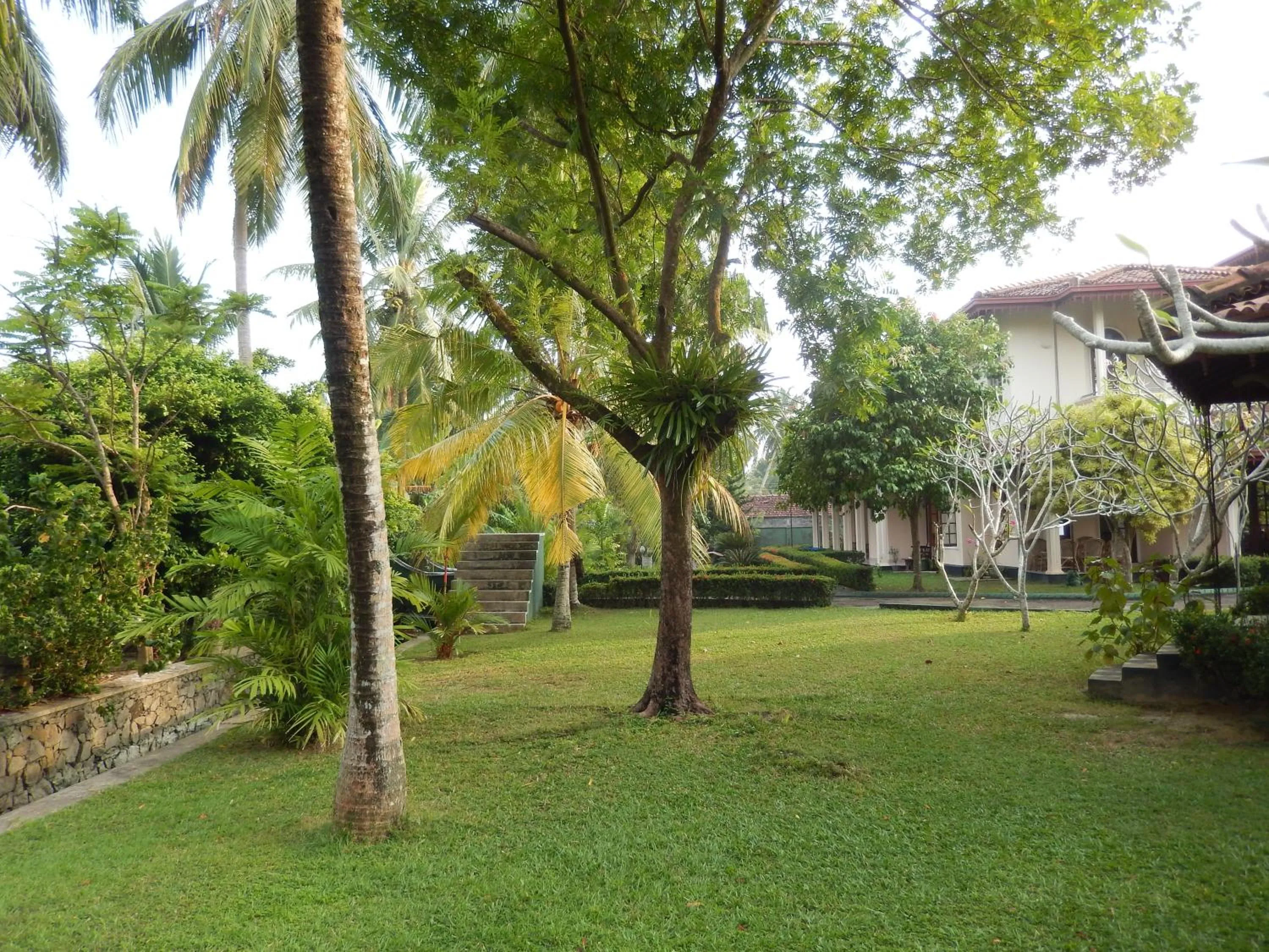 Garden in Villa Ranmenika