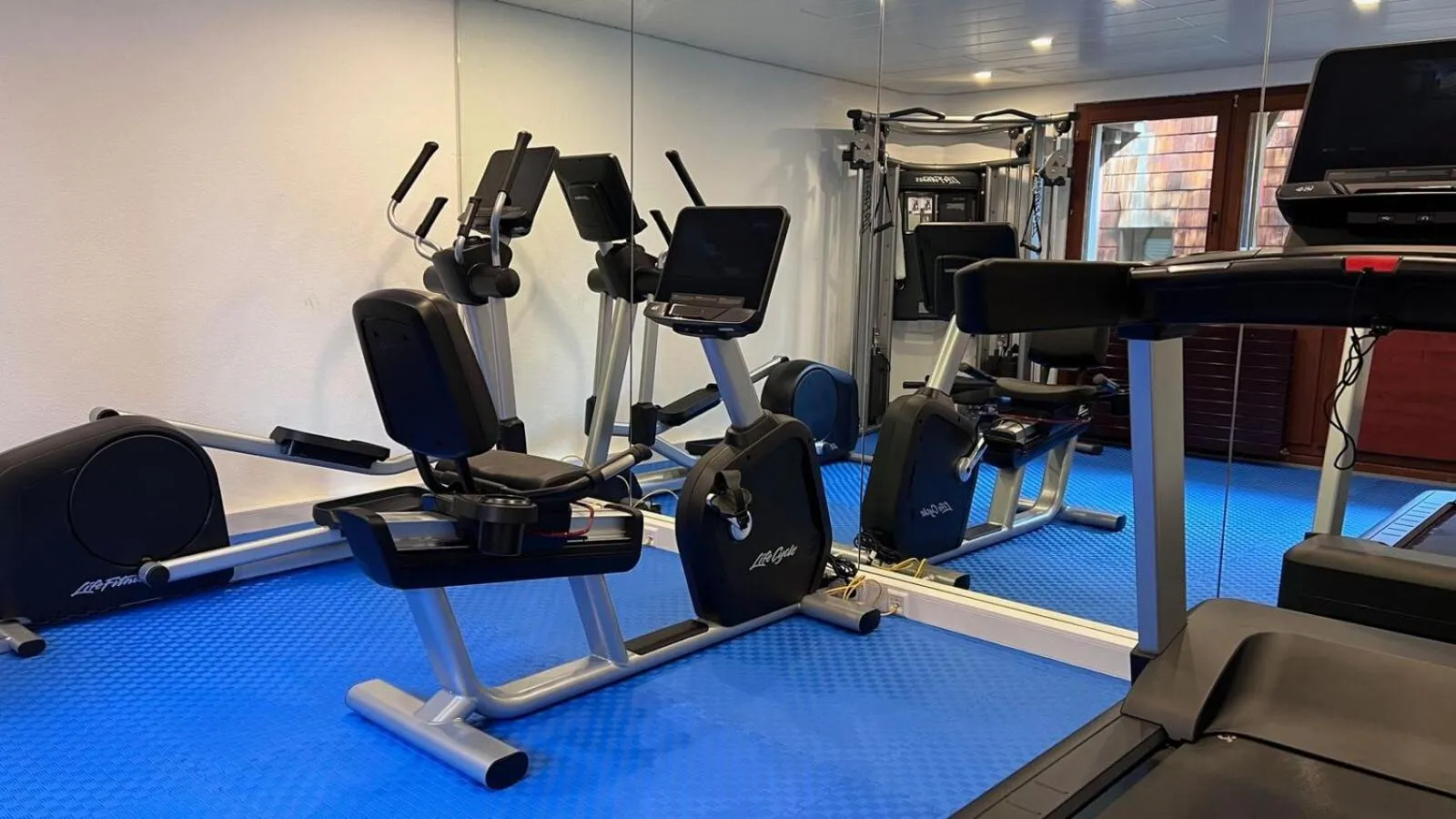 Fitness centre/facilities in Hapimag Ferienwohnungen Unterkirnach