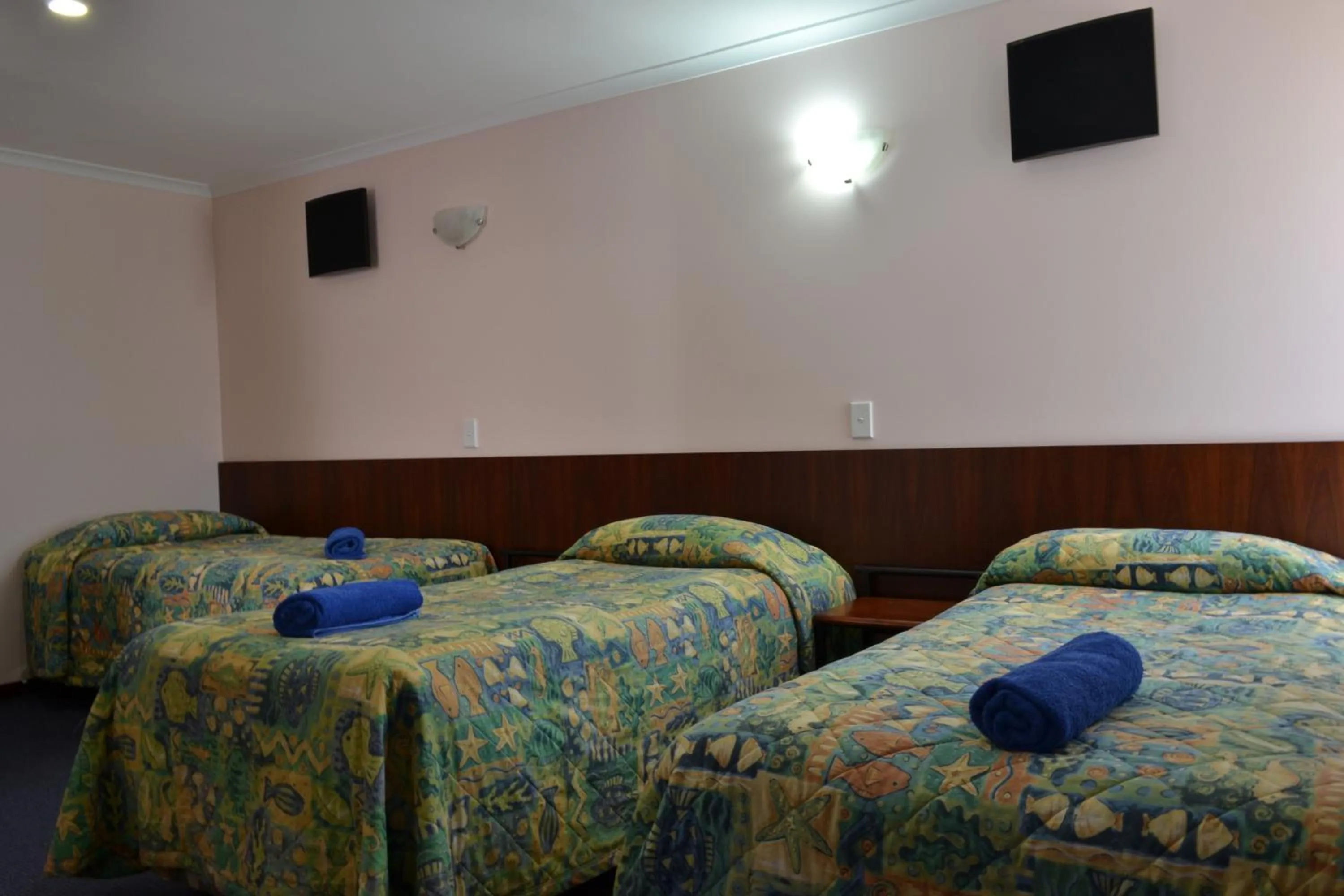 Bed in Dolphin Lodge Albany - Self Contained Apartments at Middleton Beach