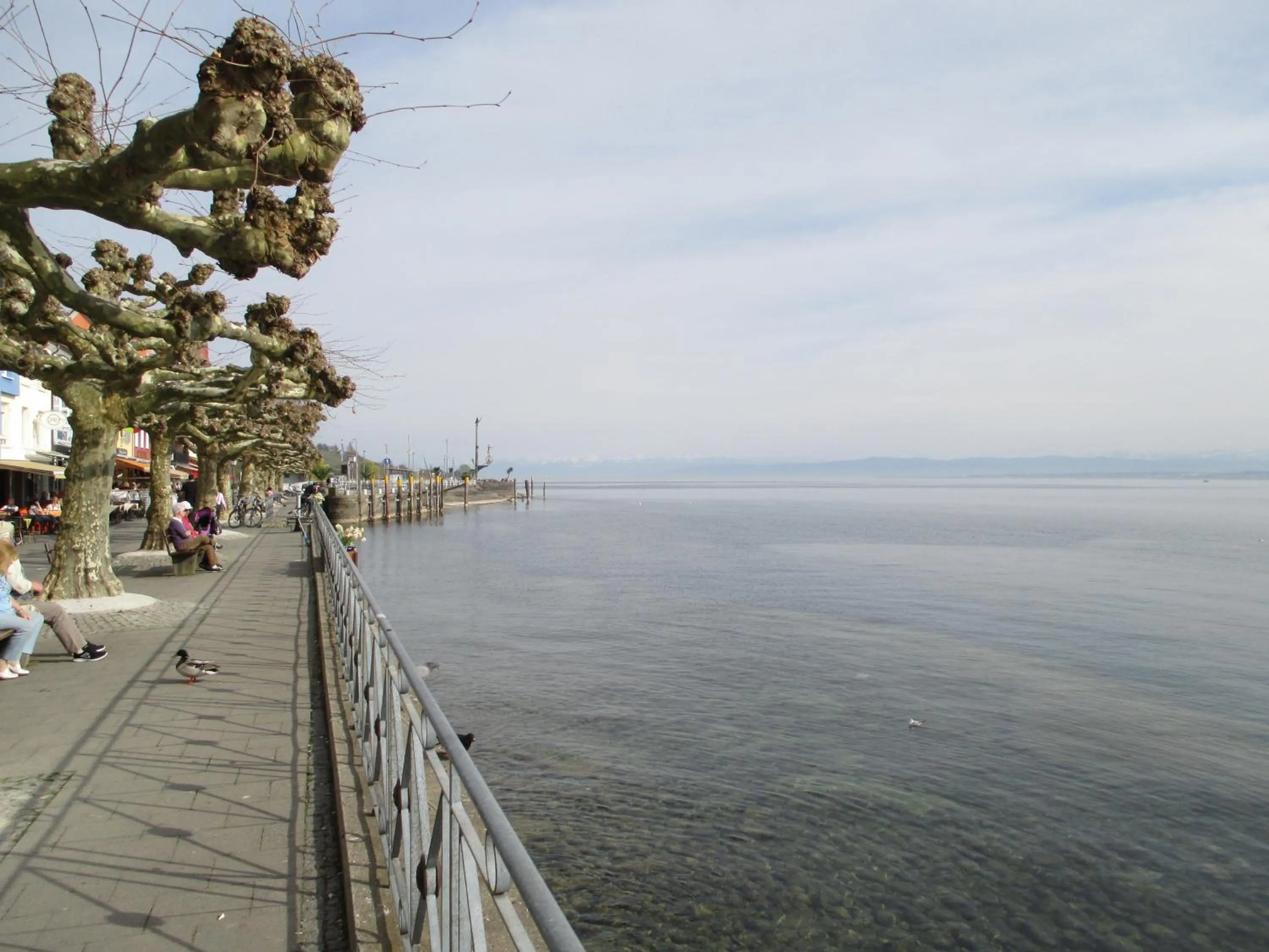 Area and facilities in Hotel Krone Stühlingen - Das Tor zum Südschwarzwald
